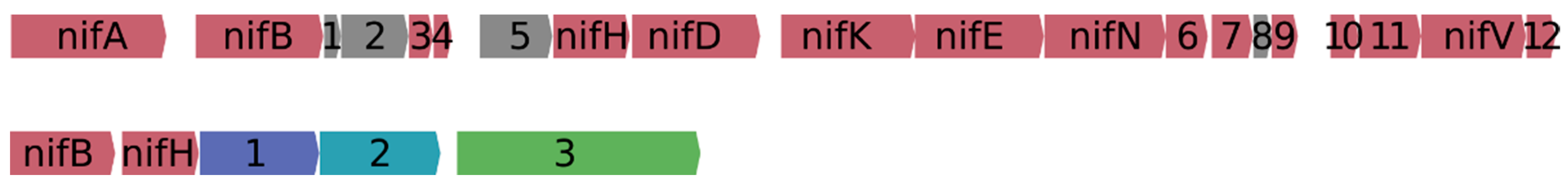 Microorganisms 10 01615 g005