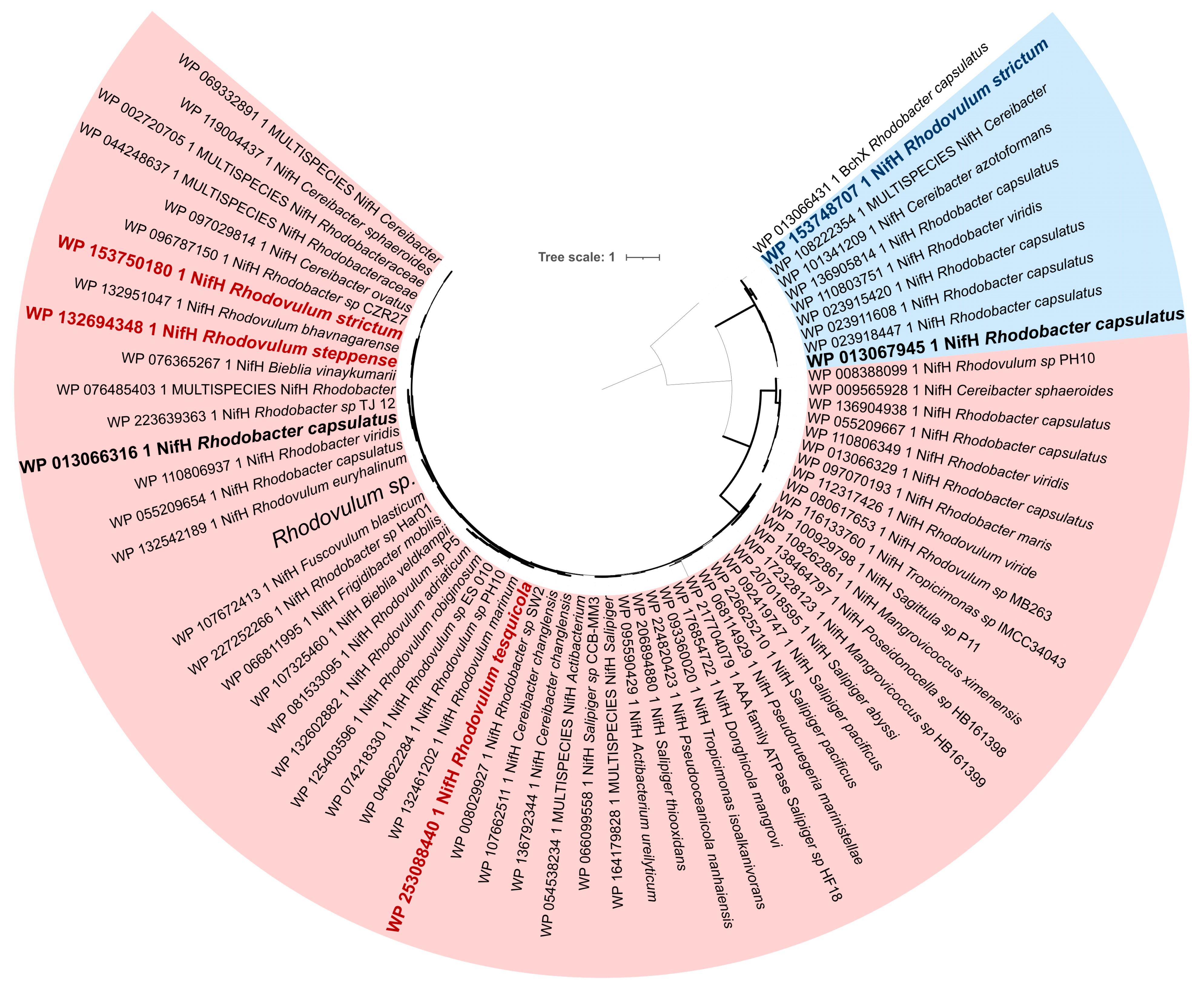 Microorganisms 10 01615 g006