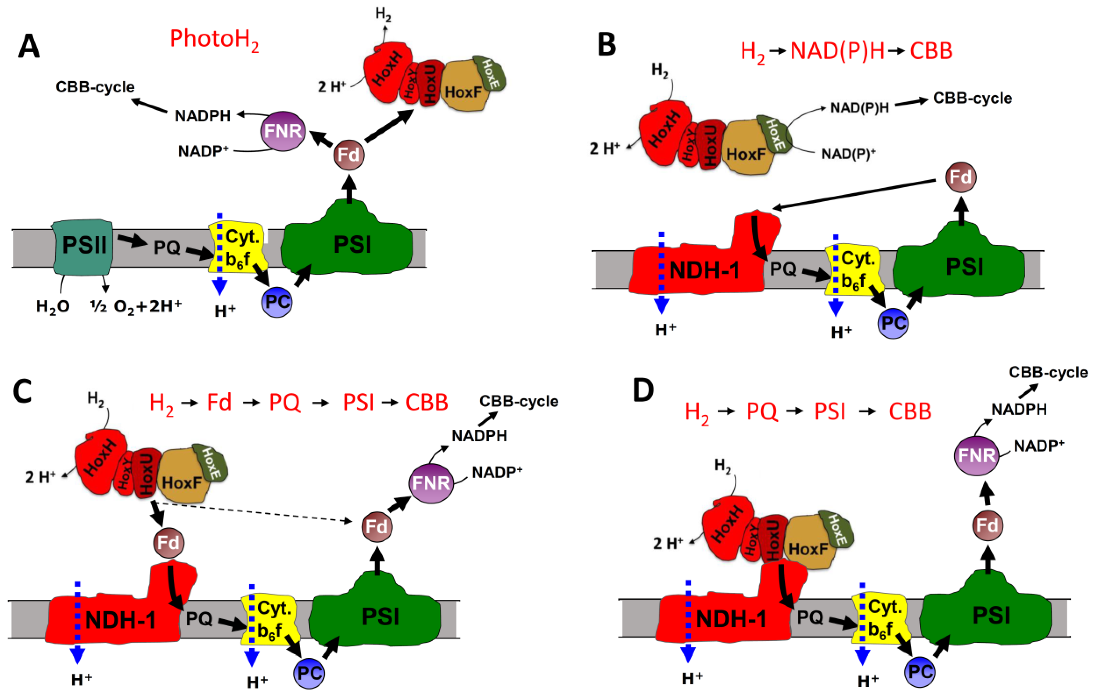 Microorganisms 10 01617 g001