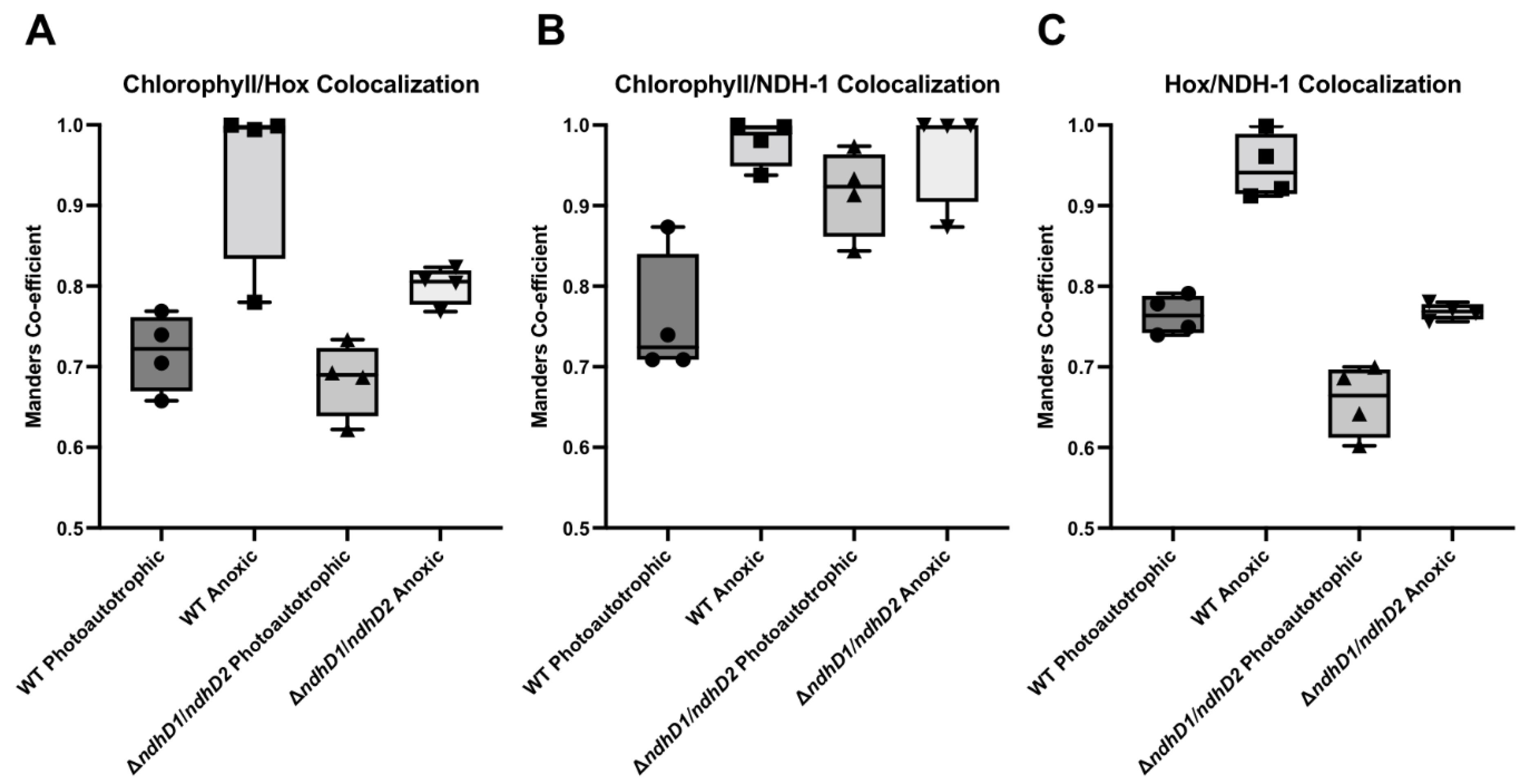 Microorganisms 10 01617 g008