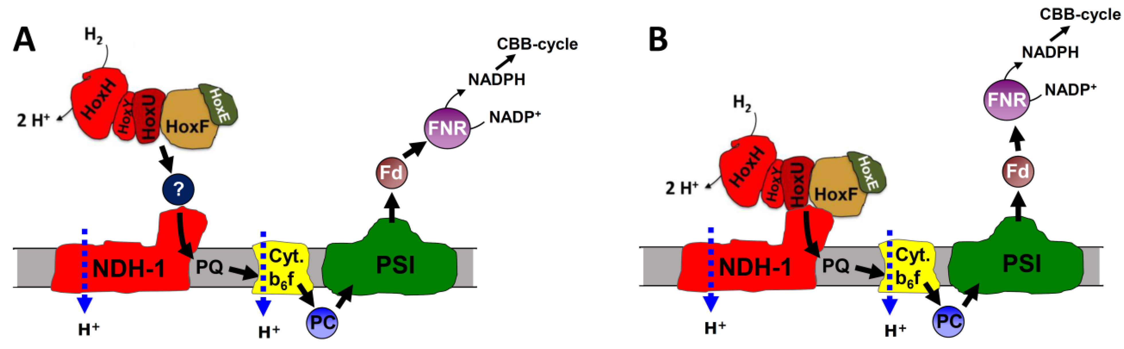 Microorganisms 10 01617 g009