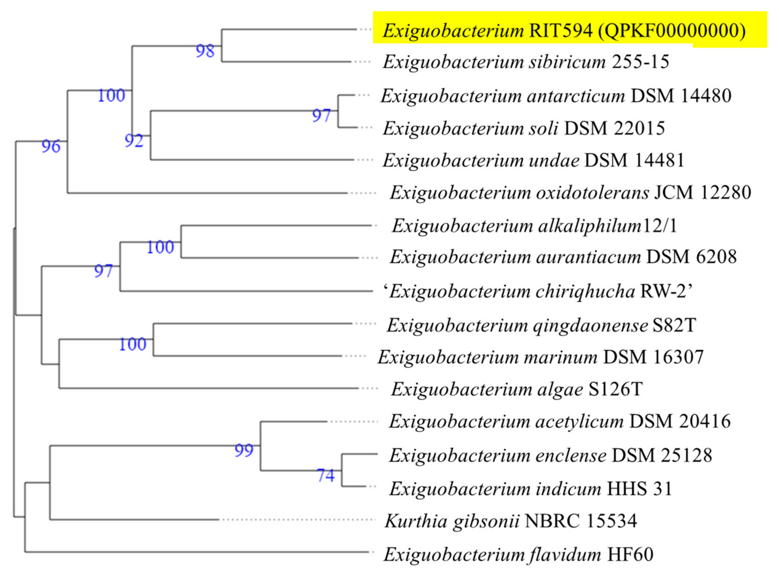 Microorganisms 10 01619 g001