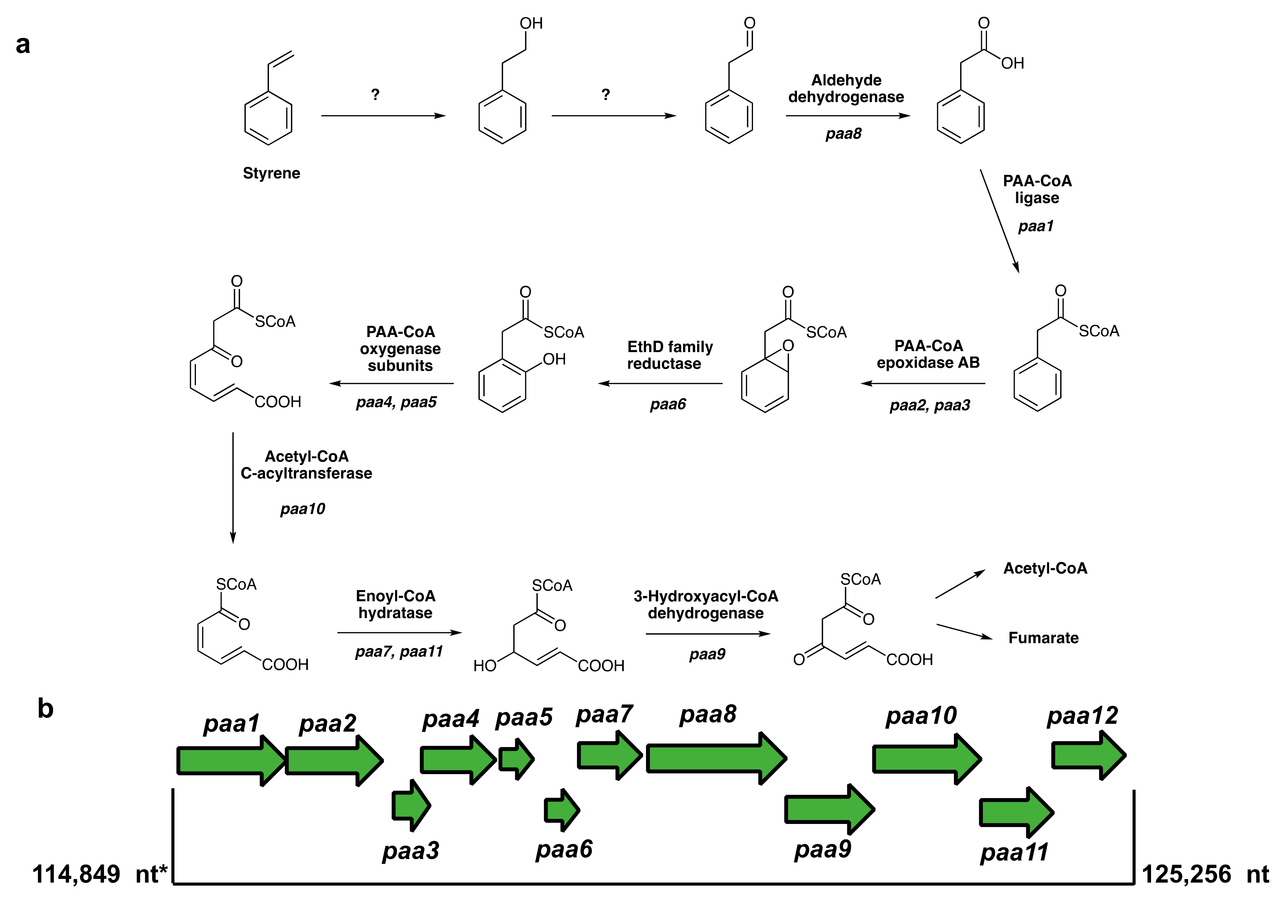 Microorganisms 10 01619 g007