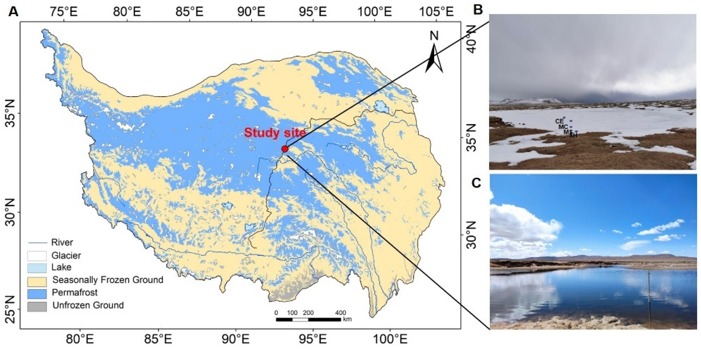 Microorganisms 10 01620 g001 Microorganisms 10 01620 g001