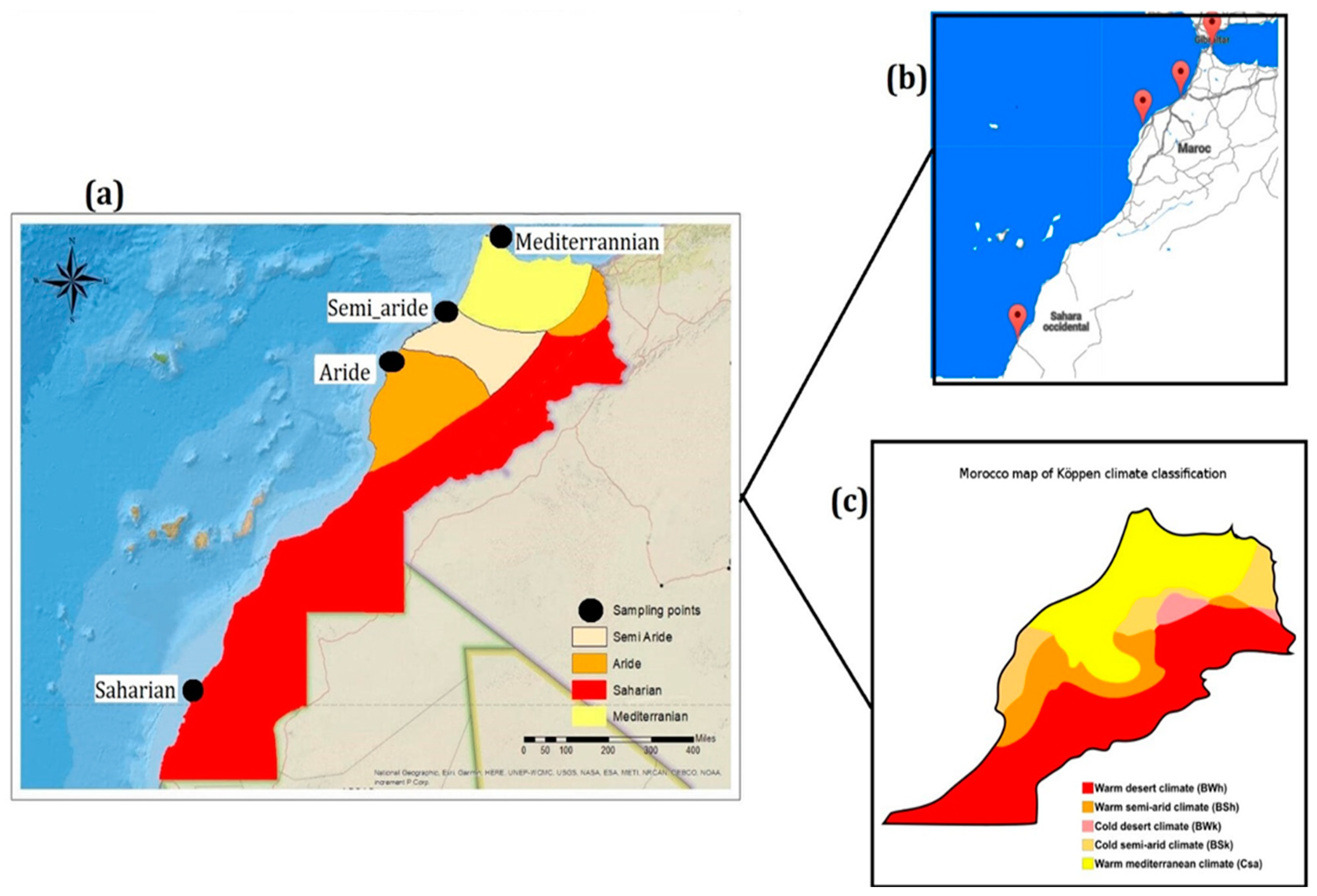 Microorganisms 10 01622 g001