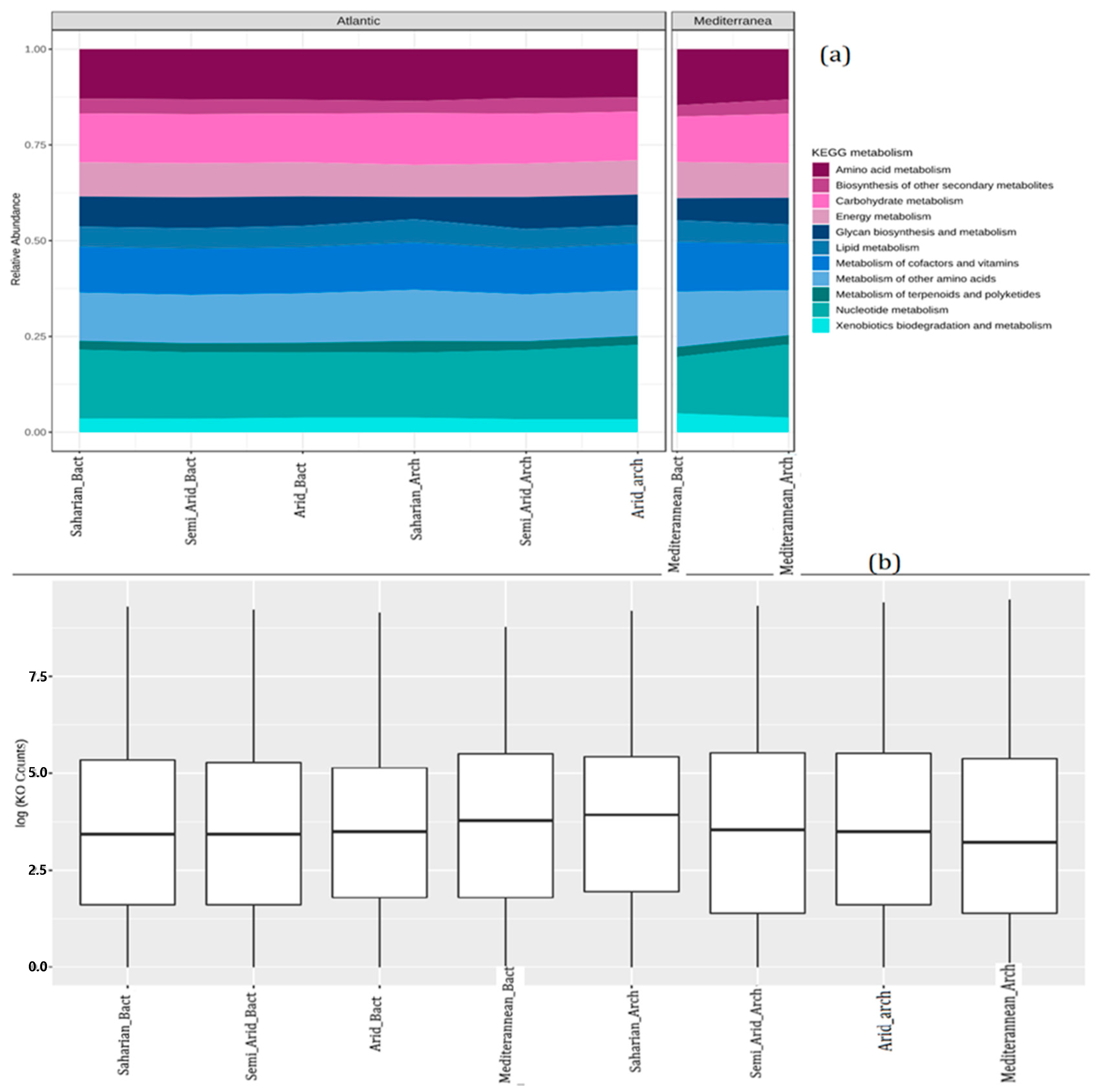 Microorganisms 10 01622 g010