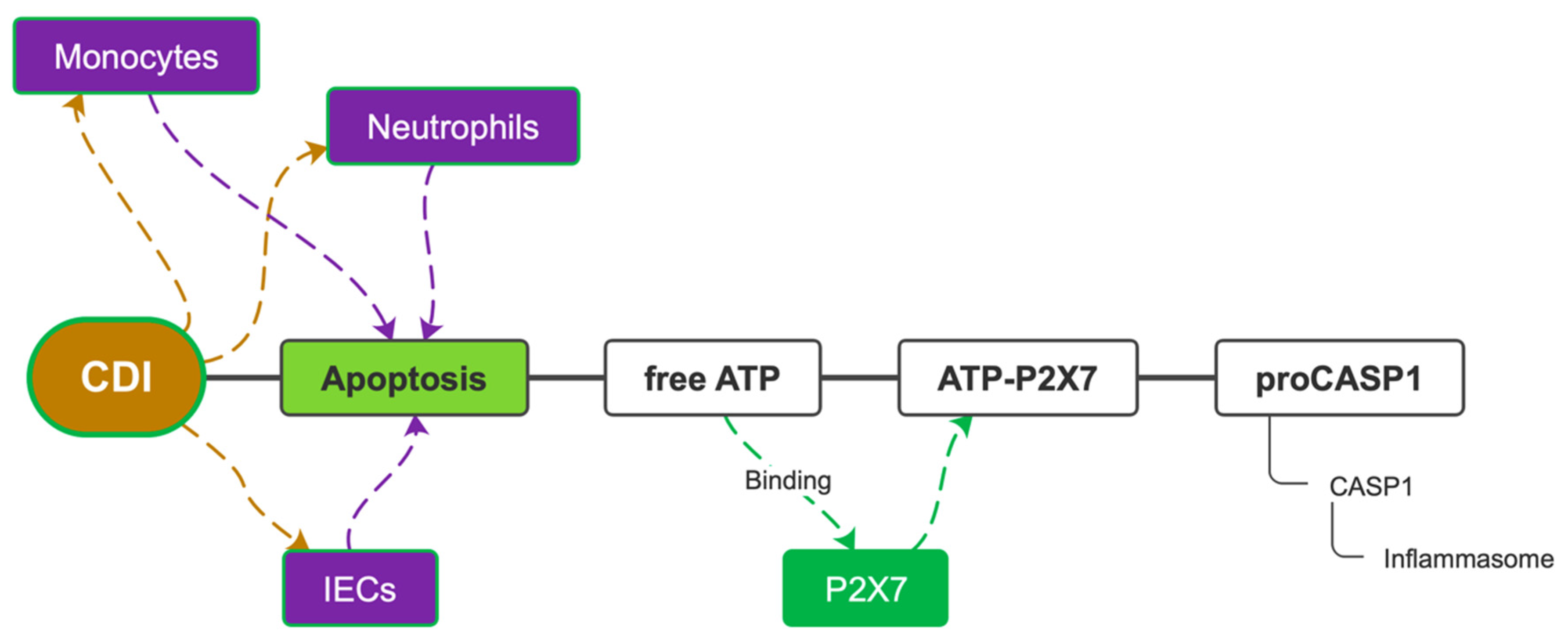 Microorganisms 10 01624 g005