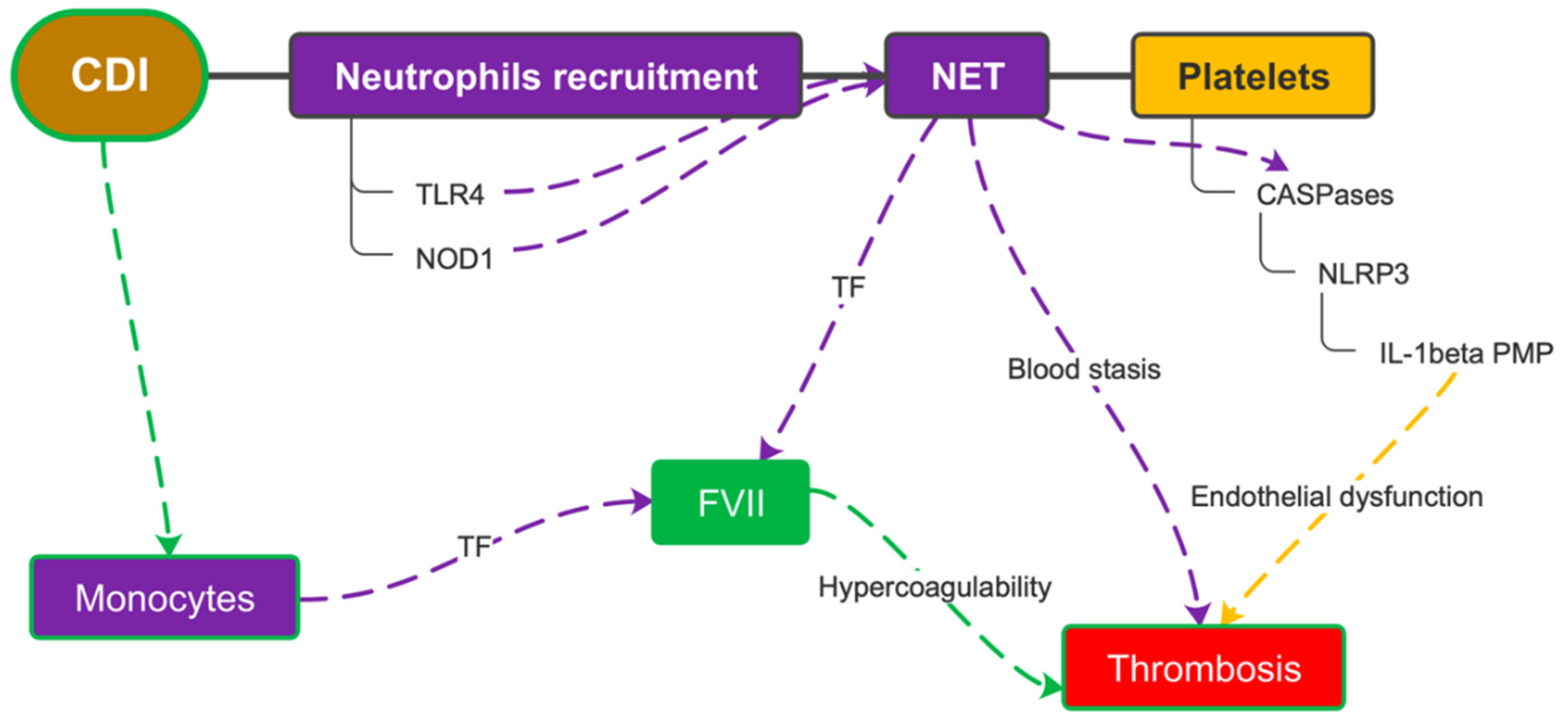 Microorganisms 10 01624 g006