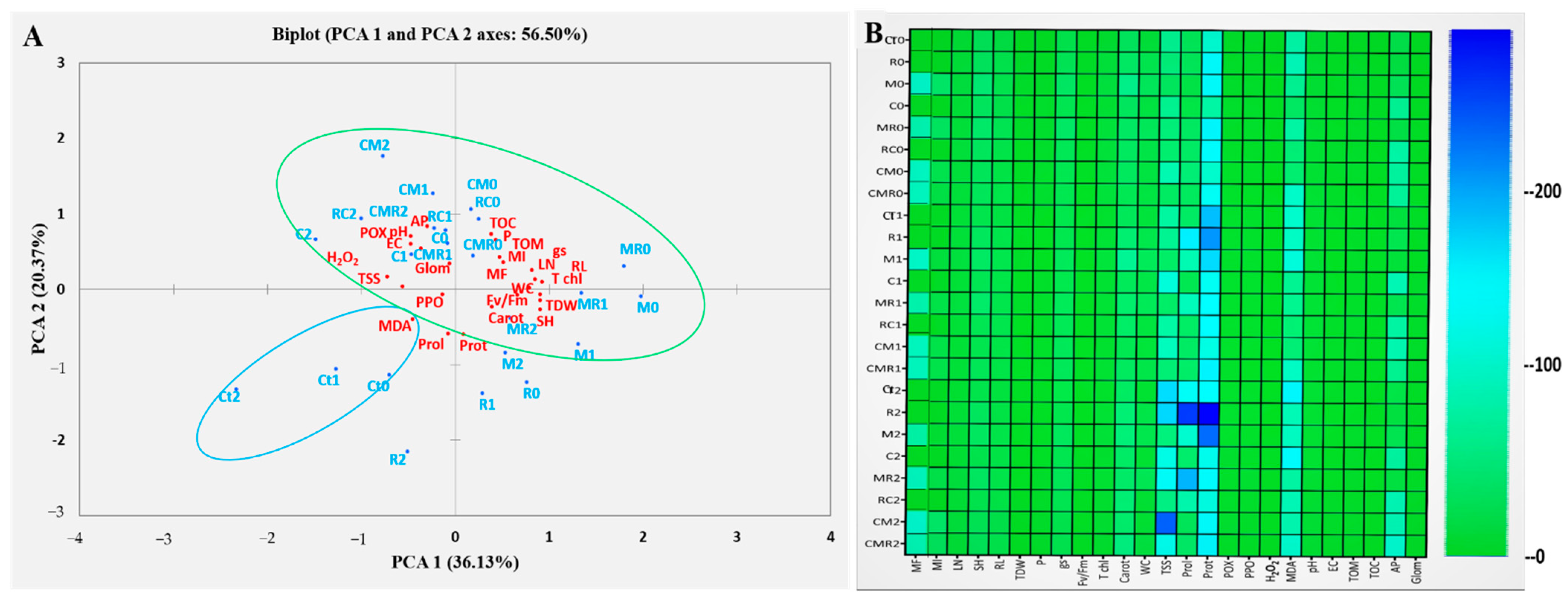 Microorganisms 10 01625 g010