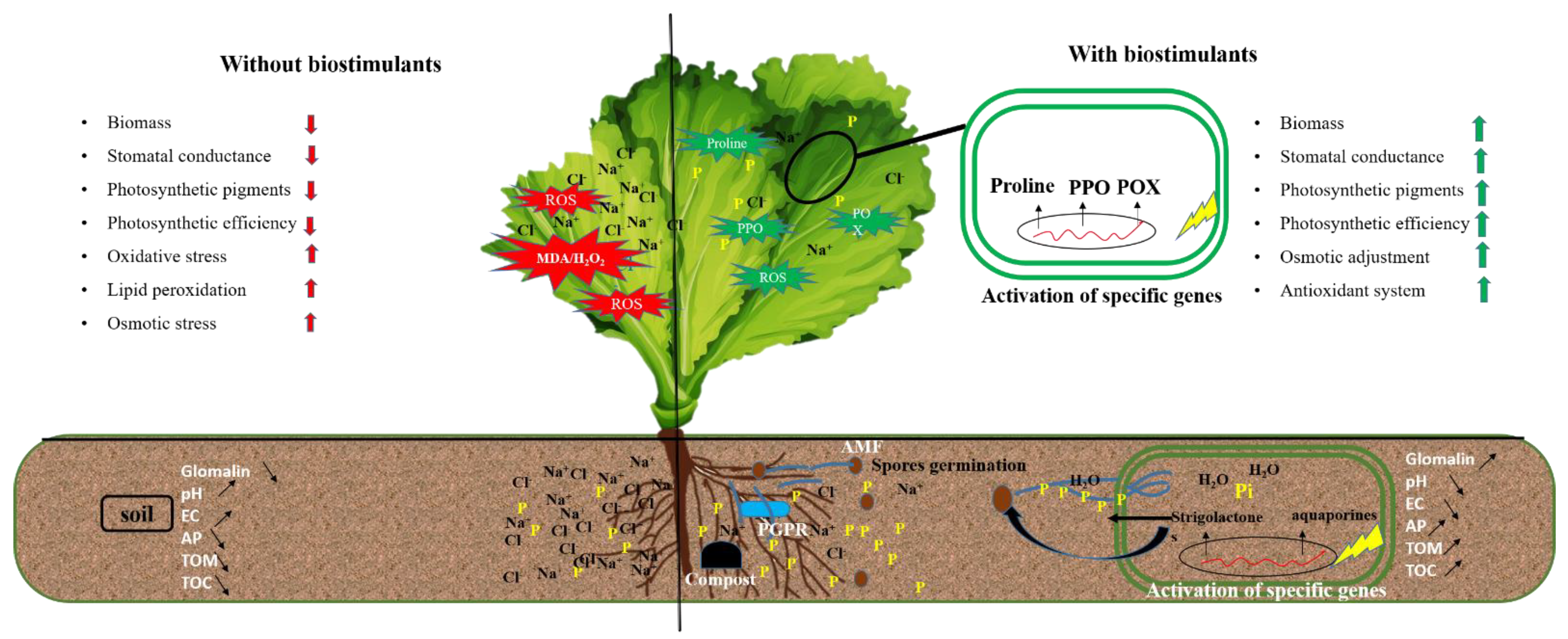 Microorganisms 10 01625 g011