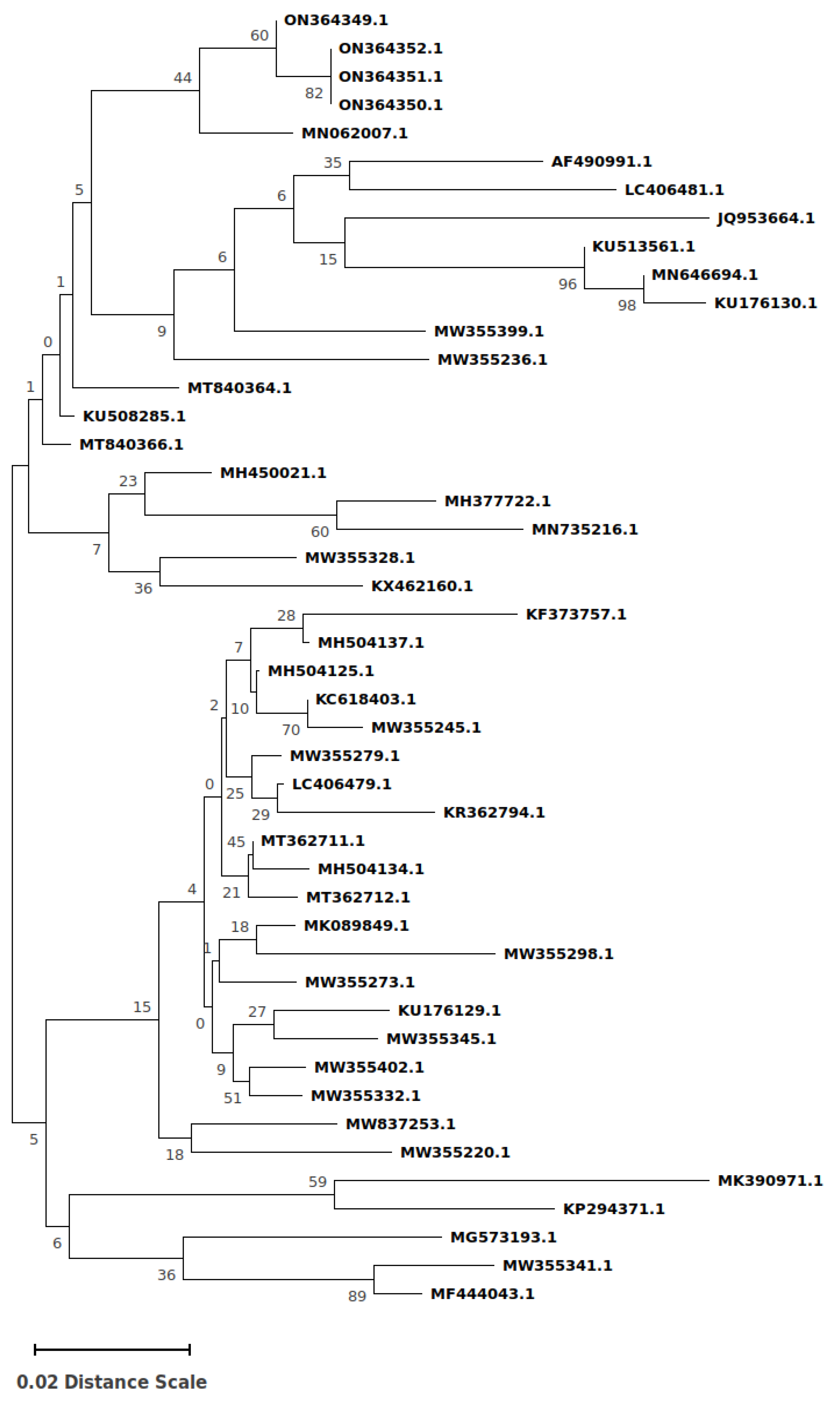 Microorganisms 10 01628 g002 550