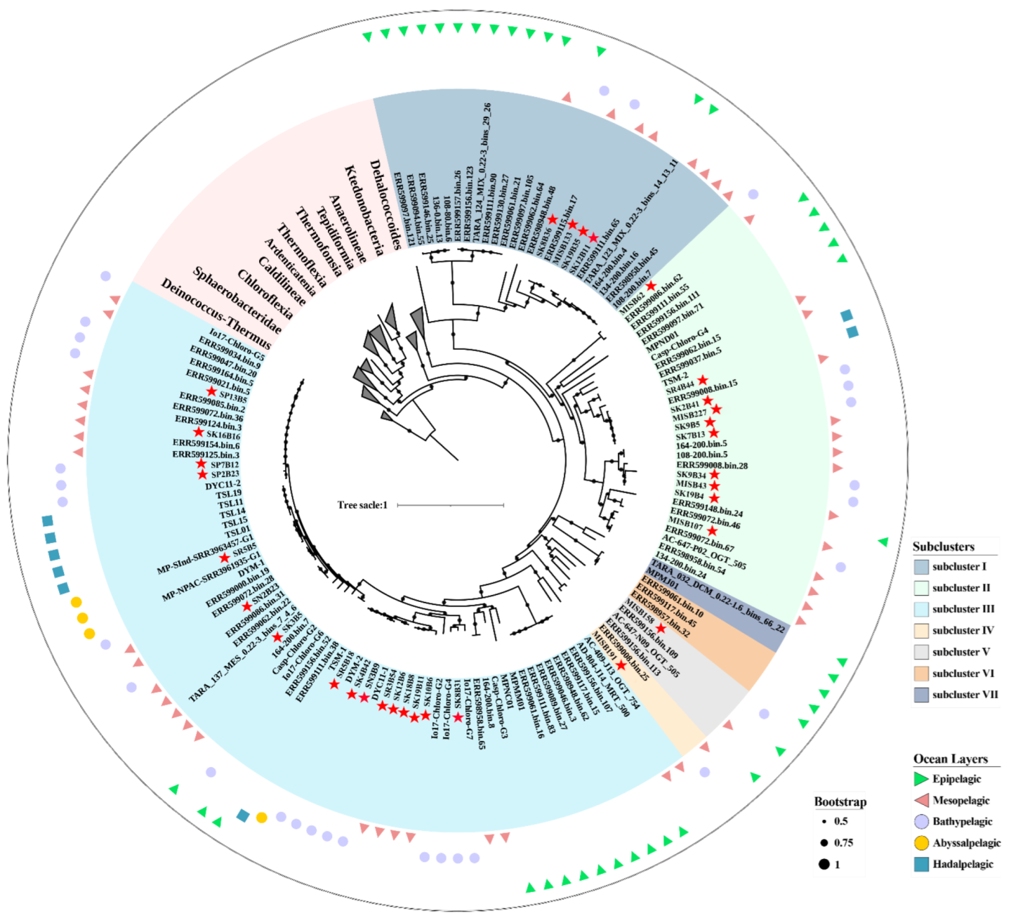 Microorganisms 10 01629 g002