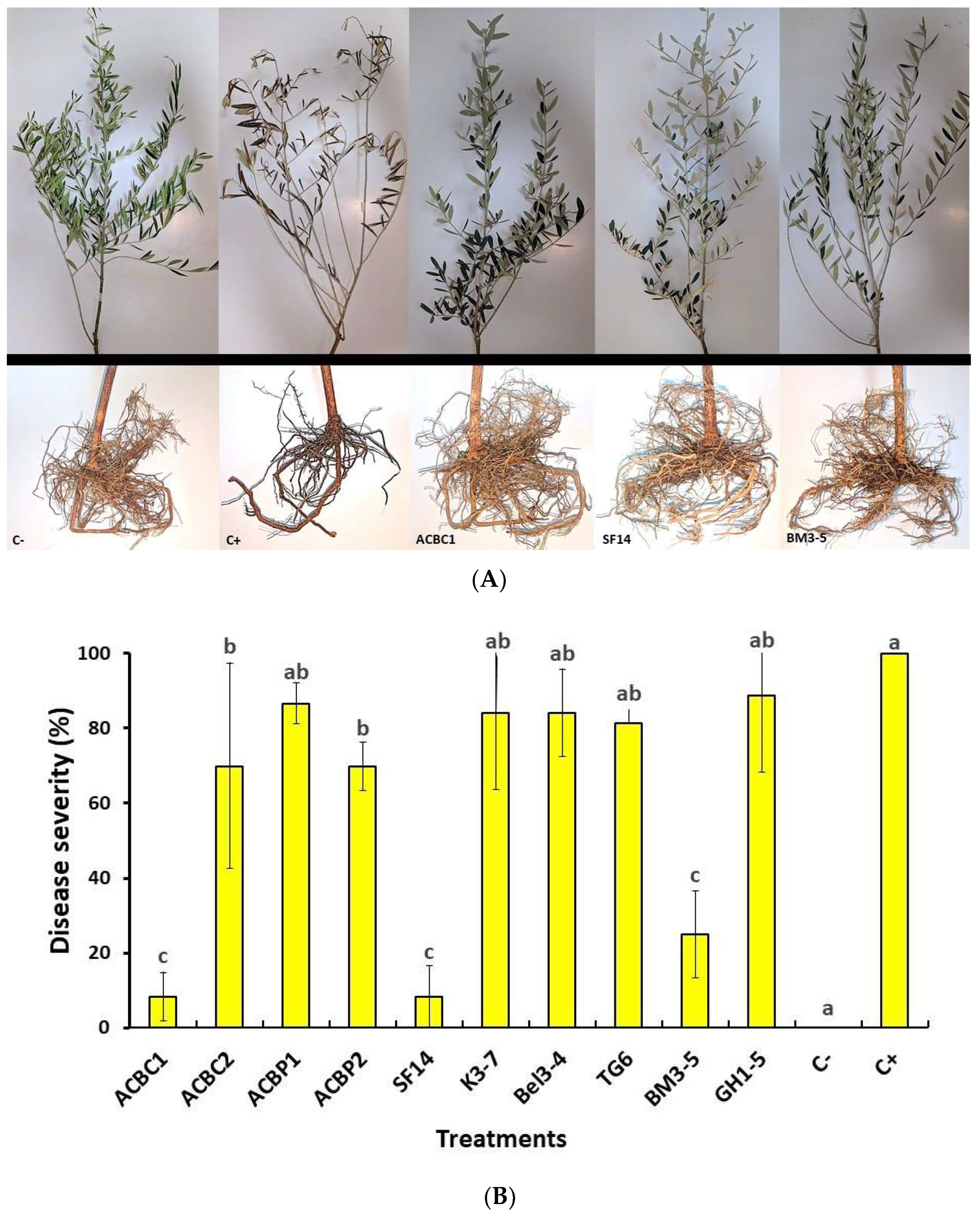 Microorganisms 10 01635 g005 550