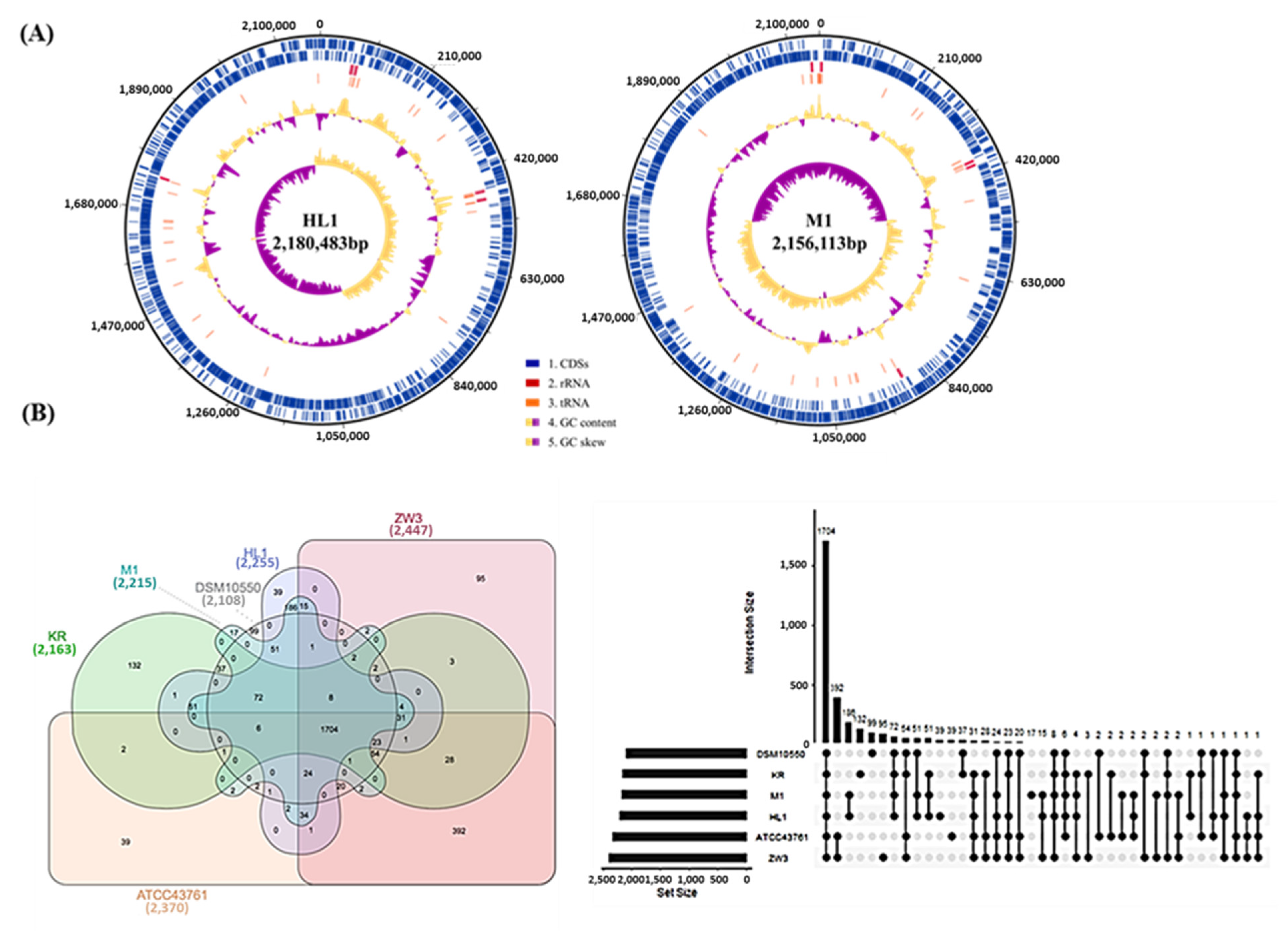 Microorganisms 10 01637 g003 Microorganisms 10 01637 g003