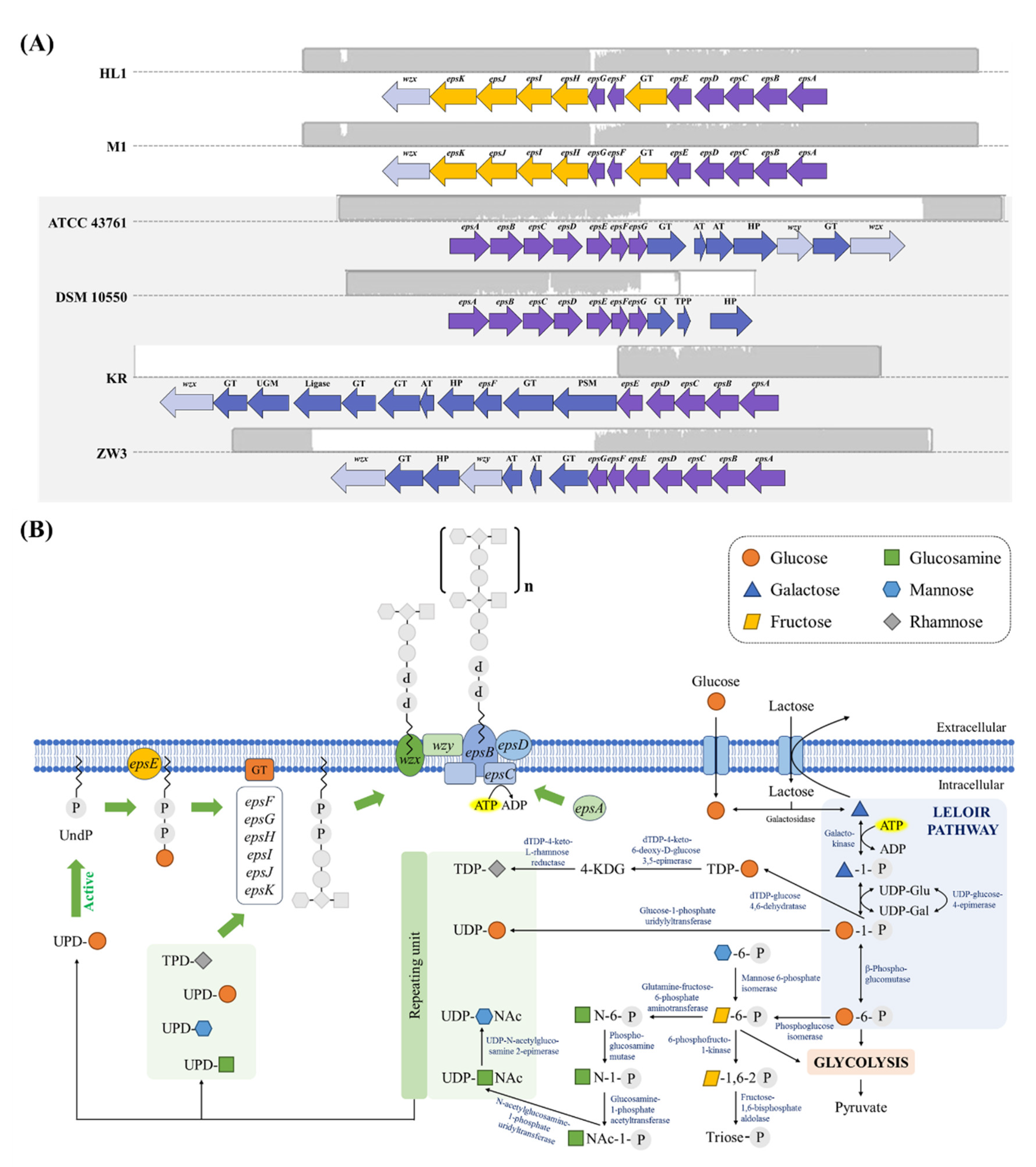 Microorganisms 10 01637 g004 Microorganisms 10 01637 g004