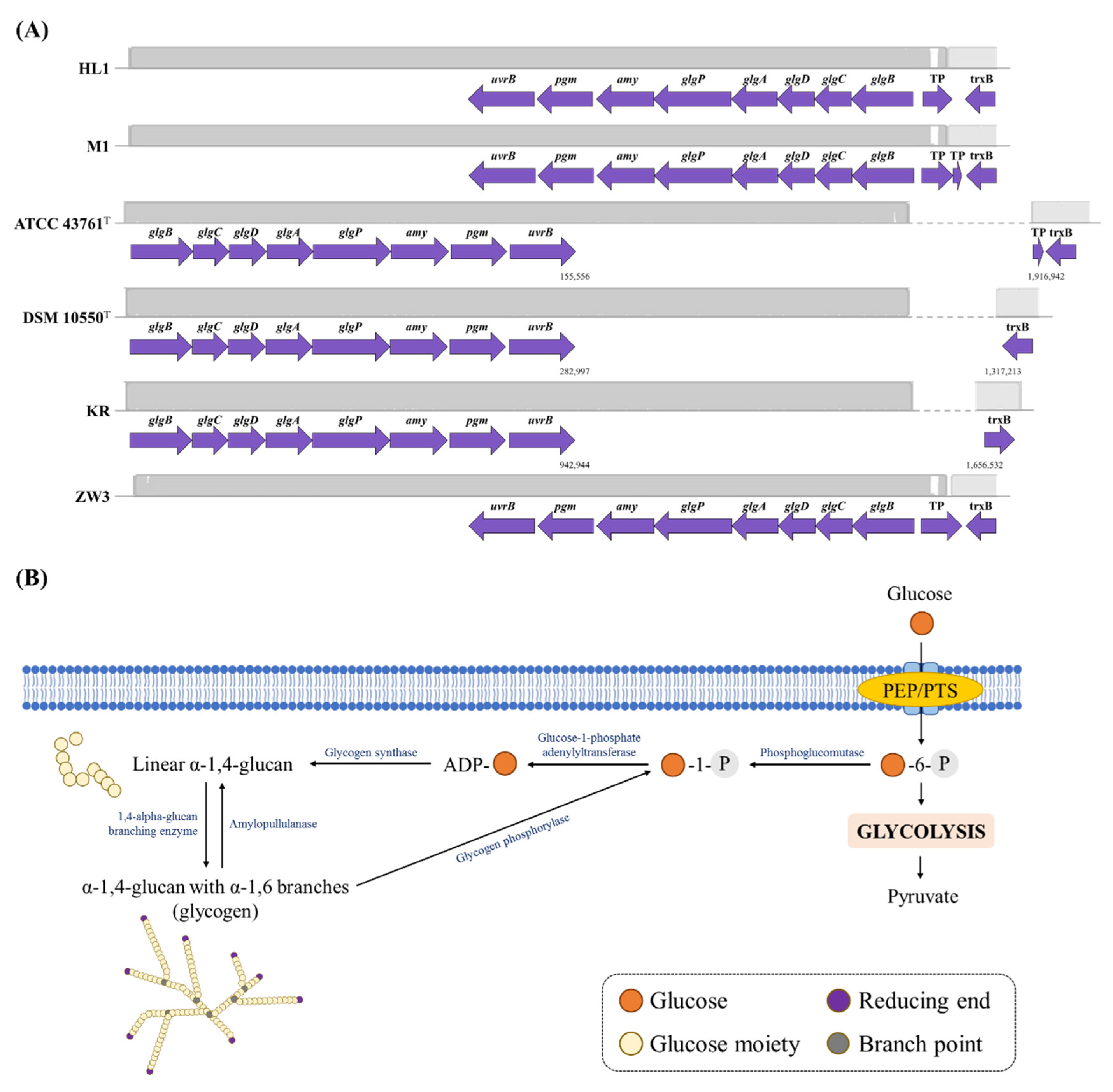 Microorganisms 10 01637 g005 Microorganisms 10 01637 g005