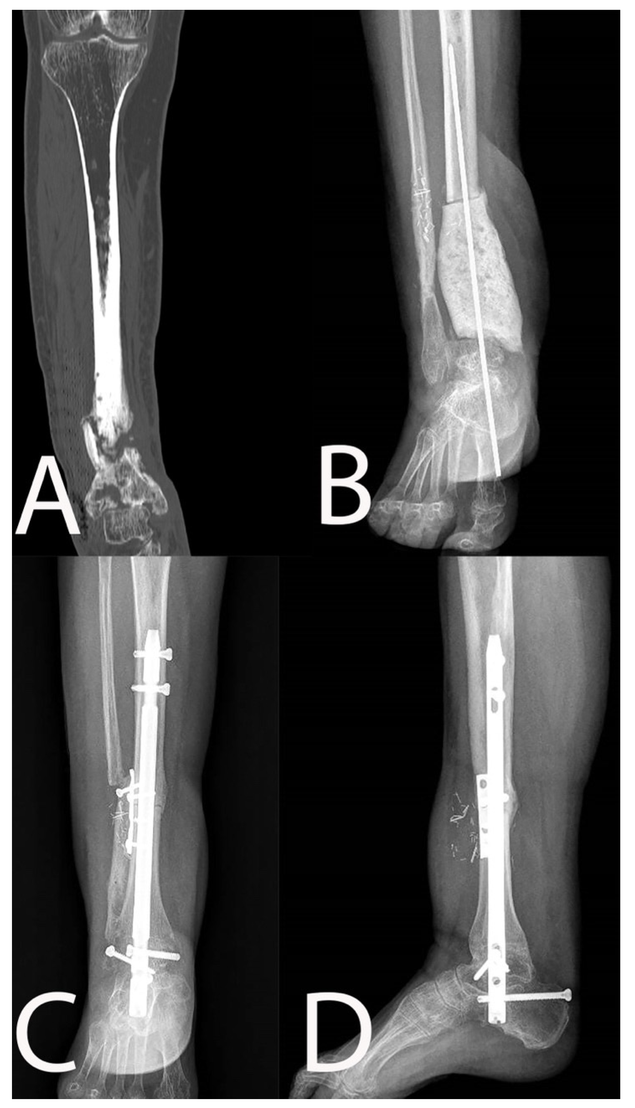 Microorganisms 10 01640 g002