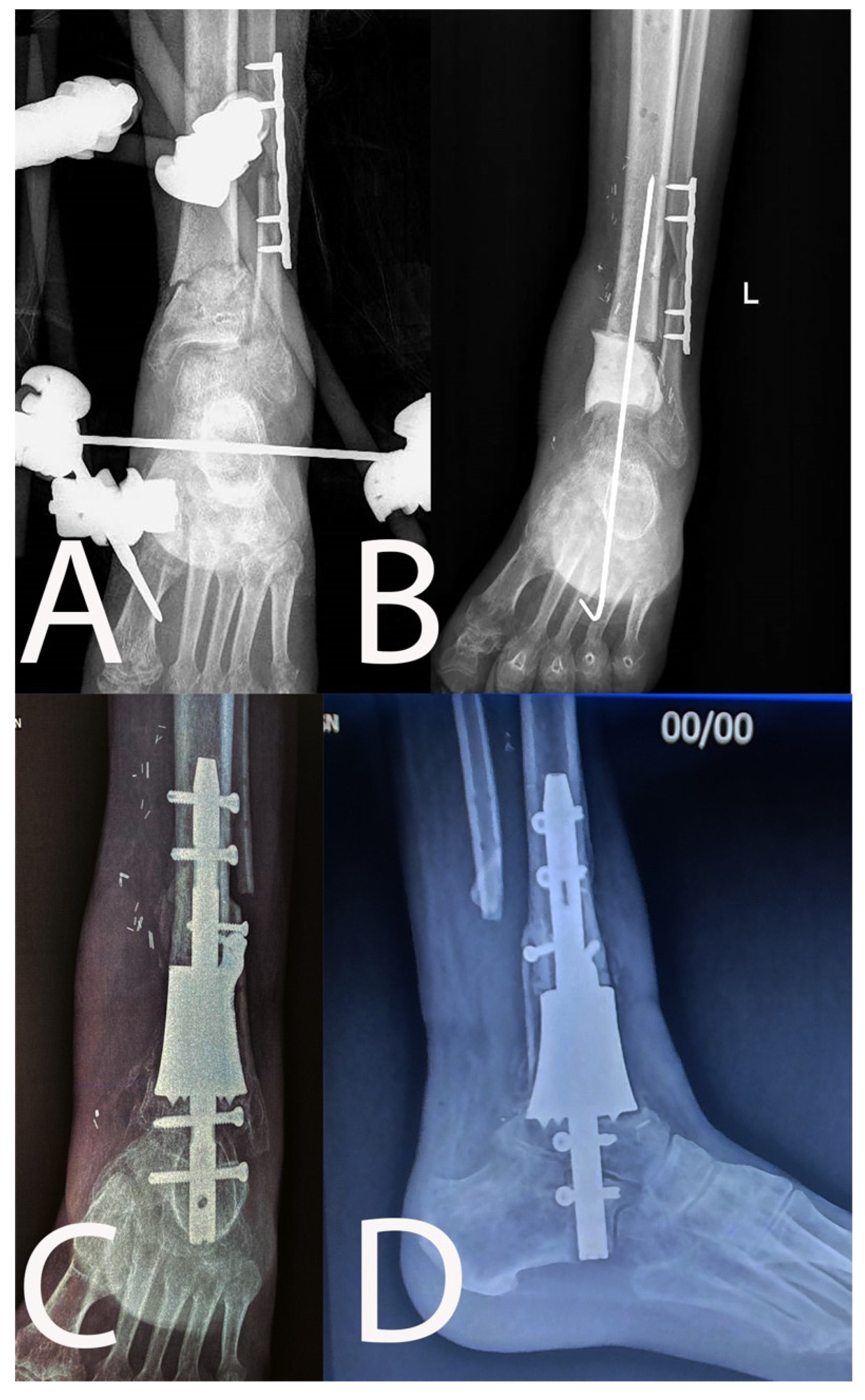 Microorganisms 10 01640 g003