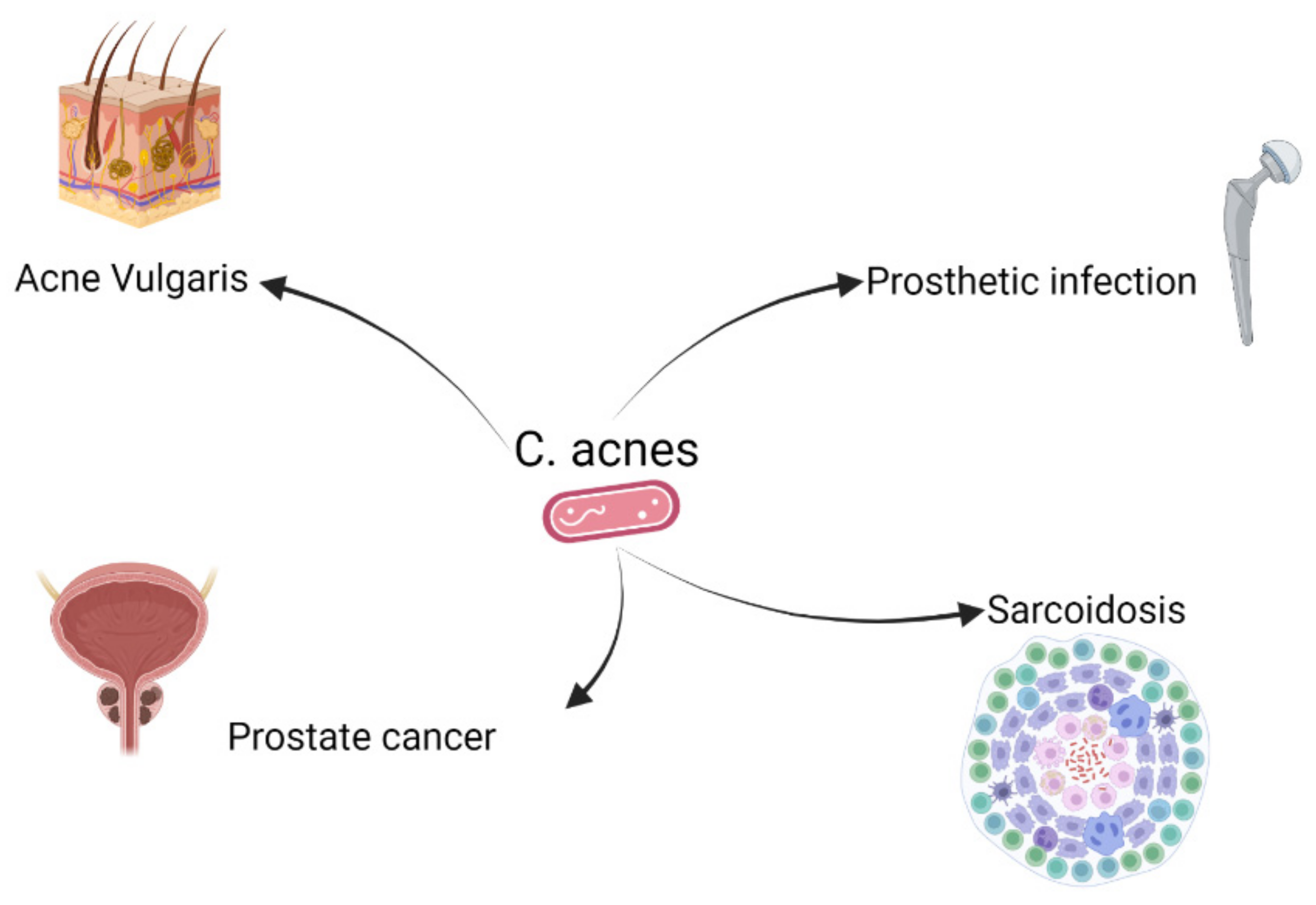 Microorganisms 10 01649 g001