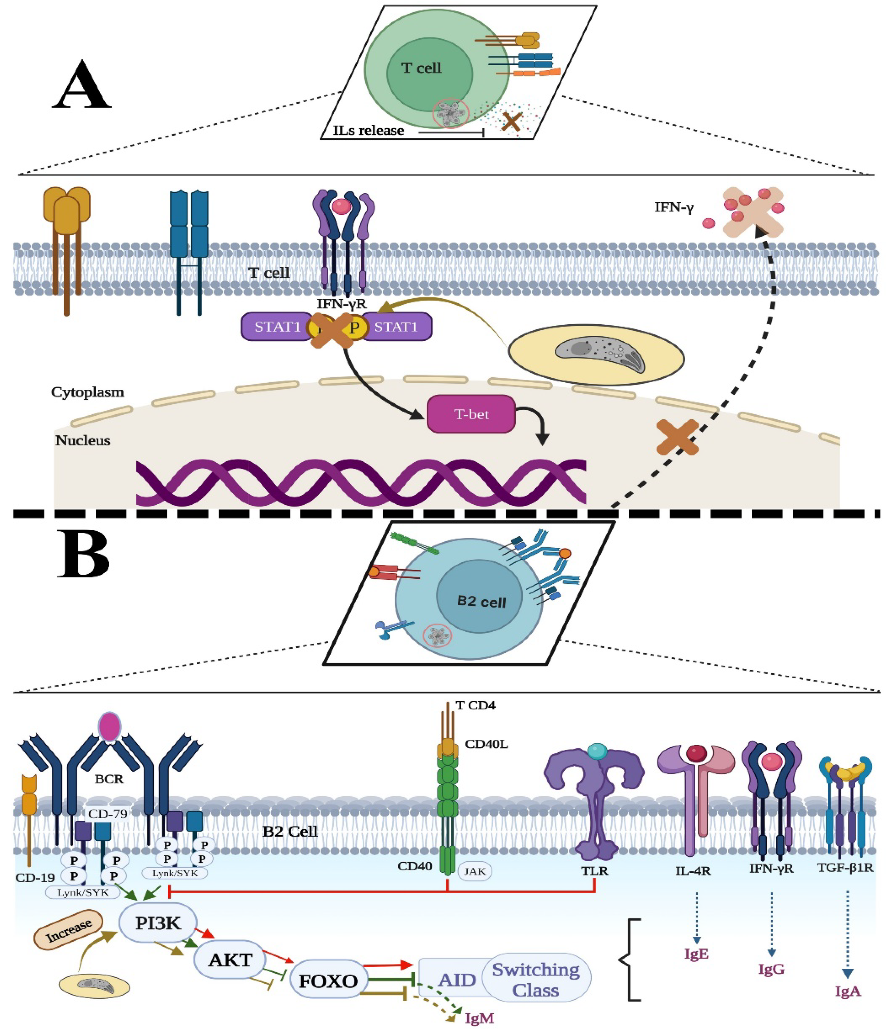 Microorganisms 10 01659 g007 Microorganisms 10 01659 g007