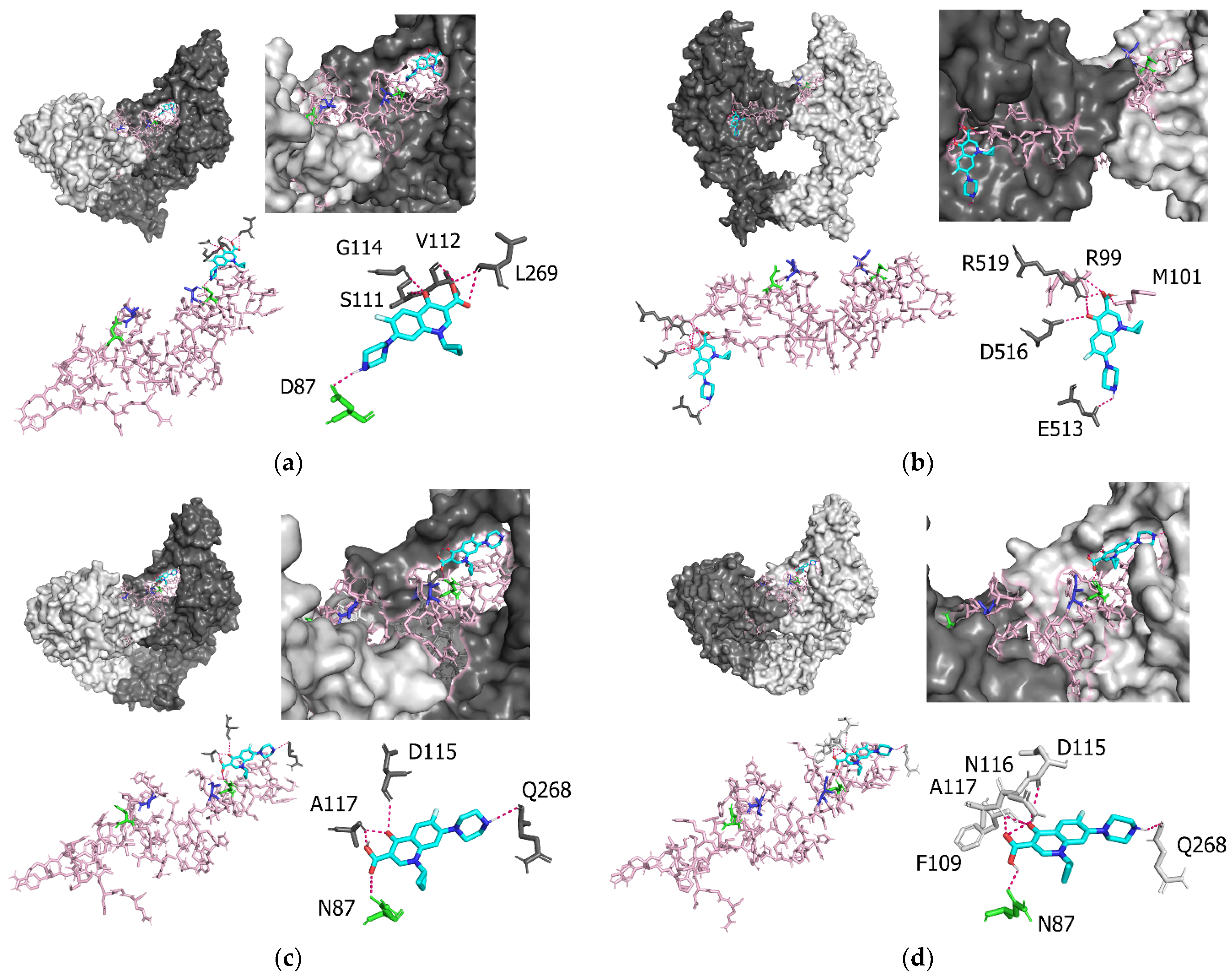 Microorganisms 10 01660 g003