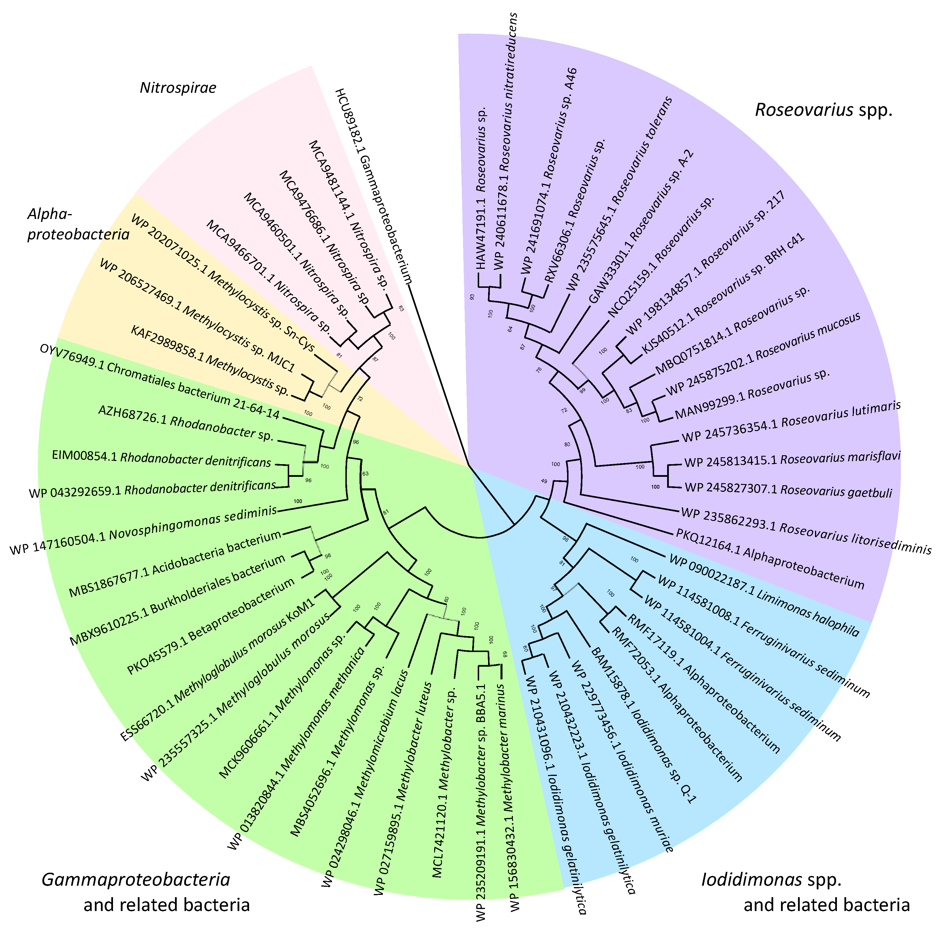 Microorganisms 10 01661 g003 Microorganisms 10 01661 g003