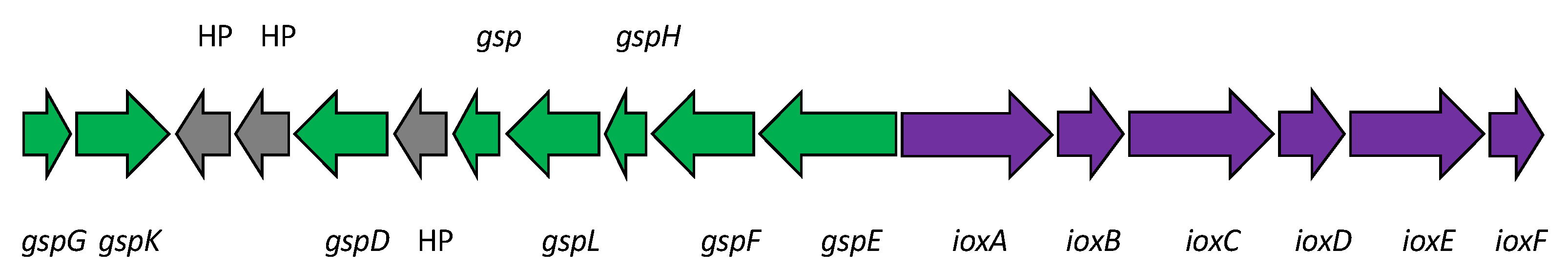 Microorganisms 10 01661 g004 Microorganisms 10 01661 g004