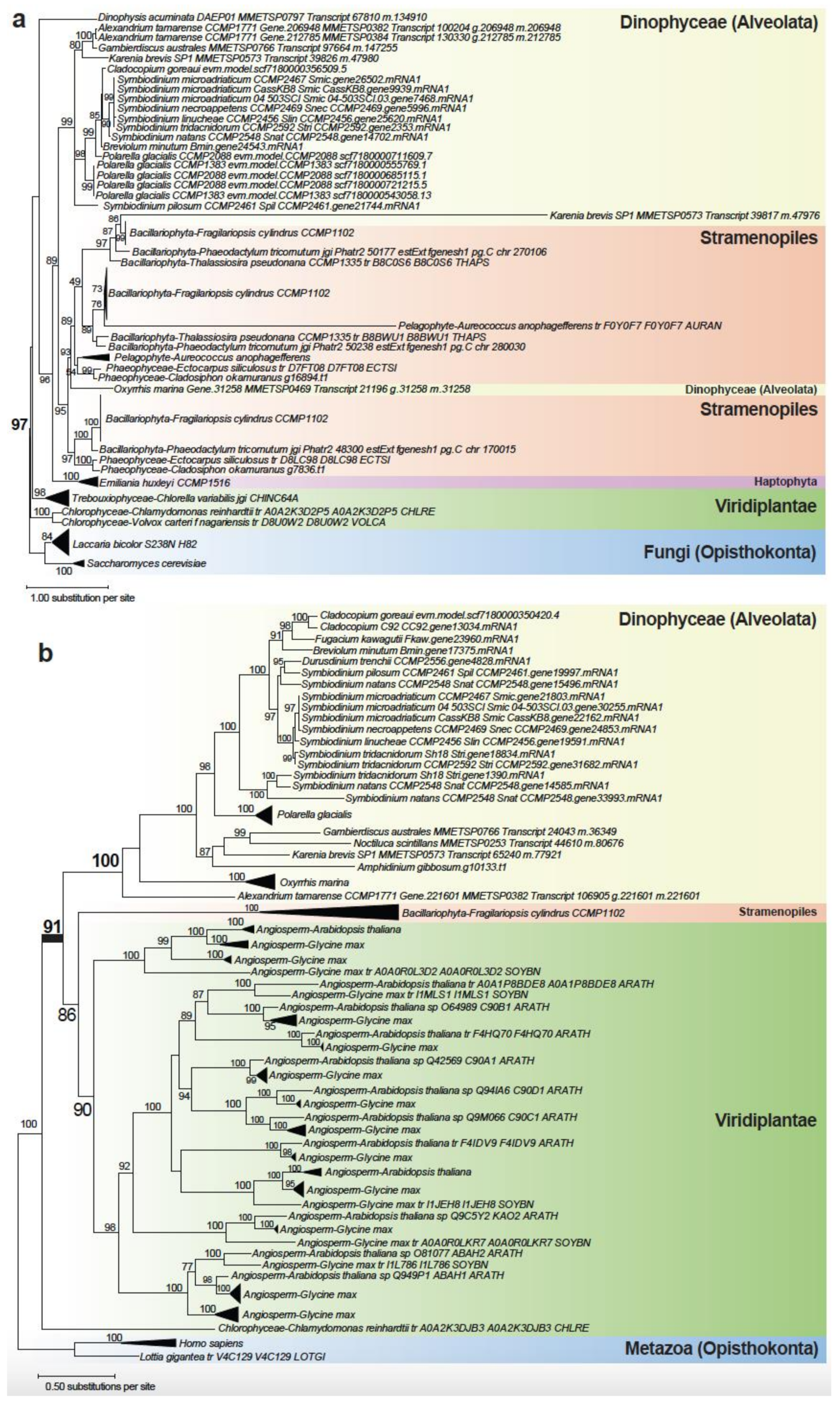 Microorganisms 10 01662 g003 550