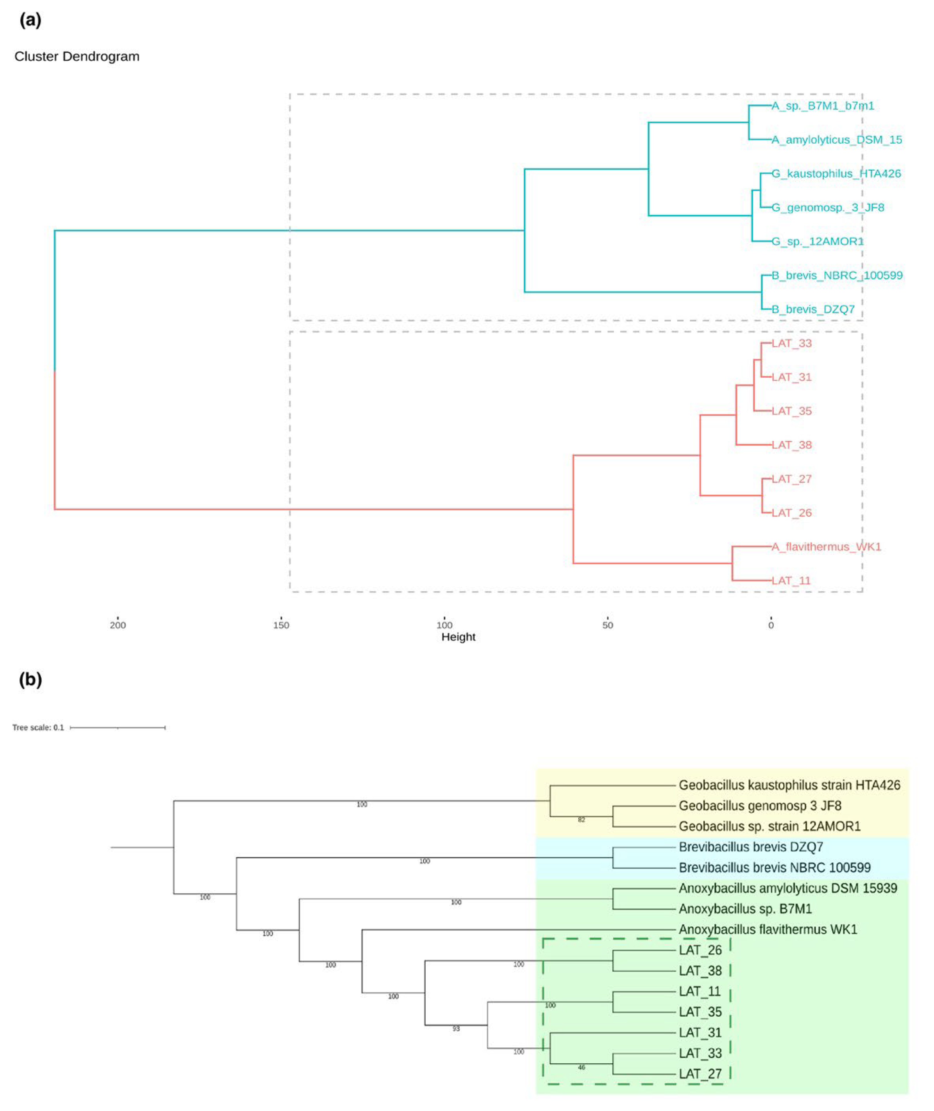 Microorganisms 10 01673 g002 Microorganisms 10 01673 g002
