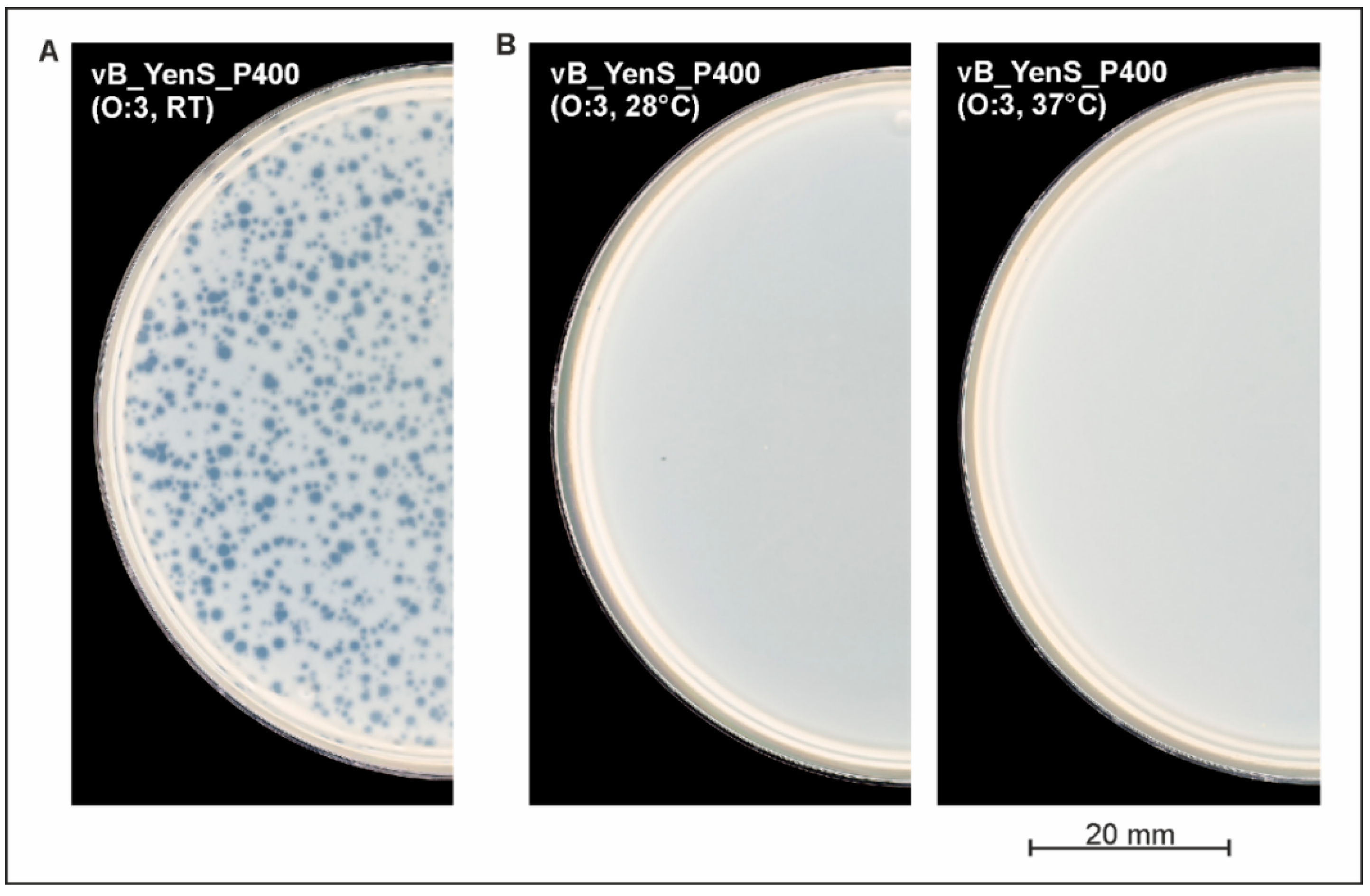 Microorganisms 10 01674 g002