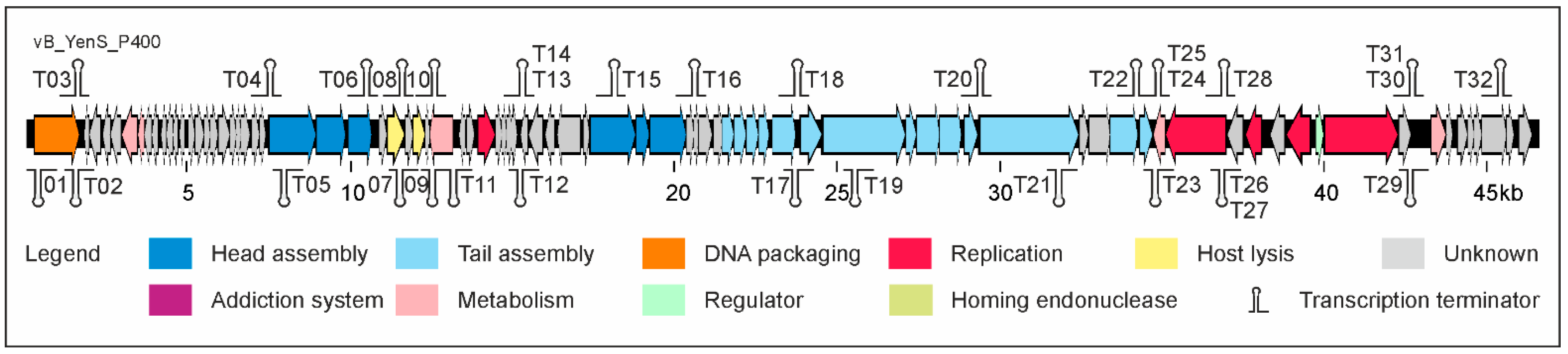 Microorganisms 10 01674 g003