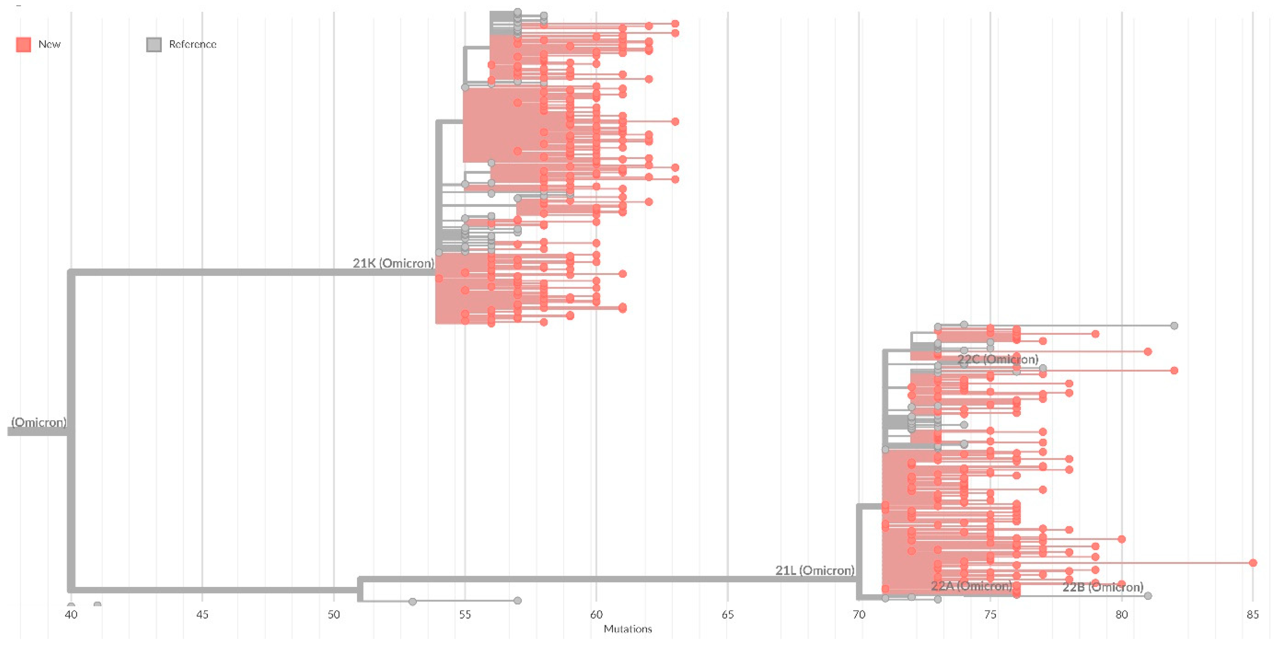 Microorganisms 10 01676 g004 550