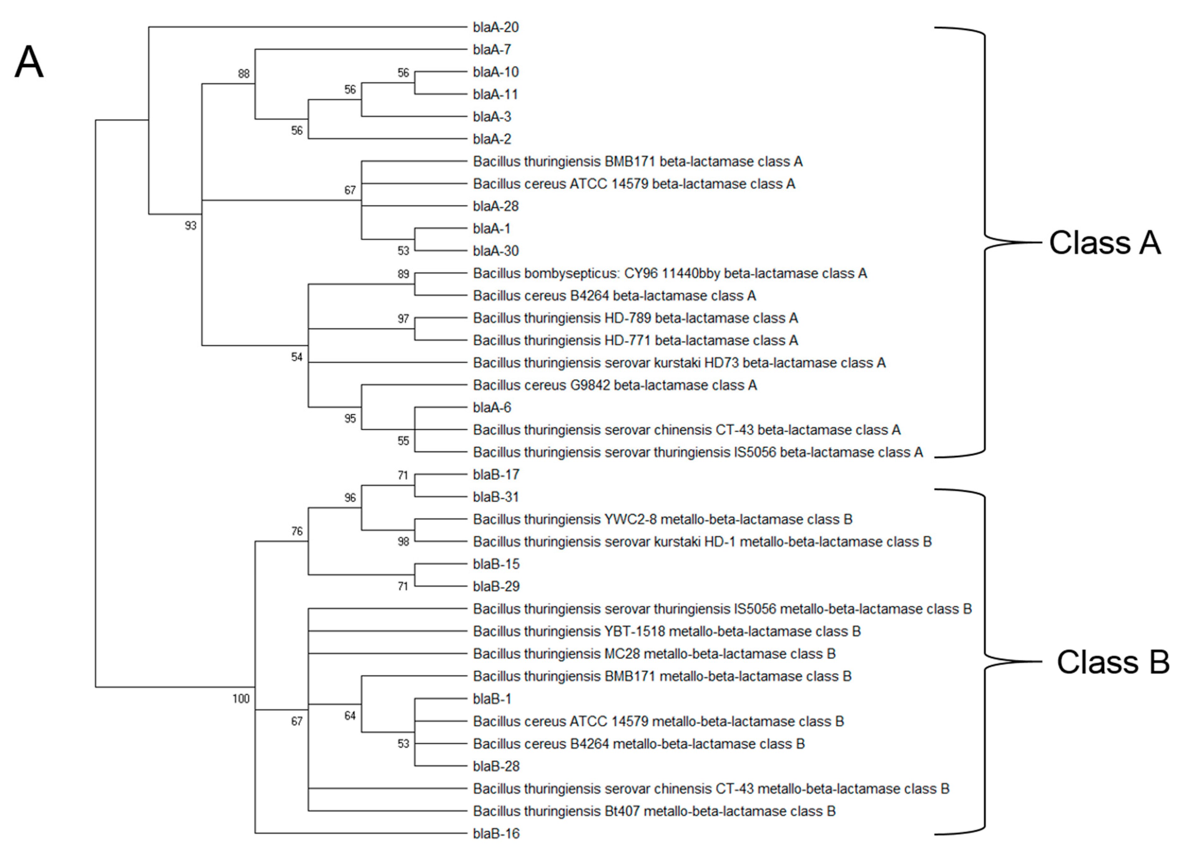 Microorganisms 10 01677 g004a