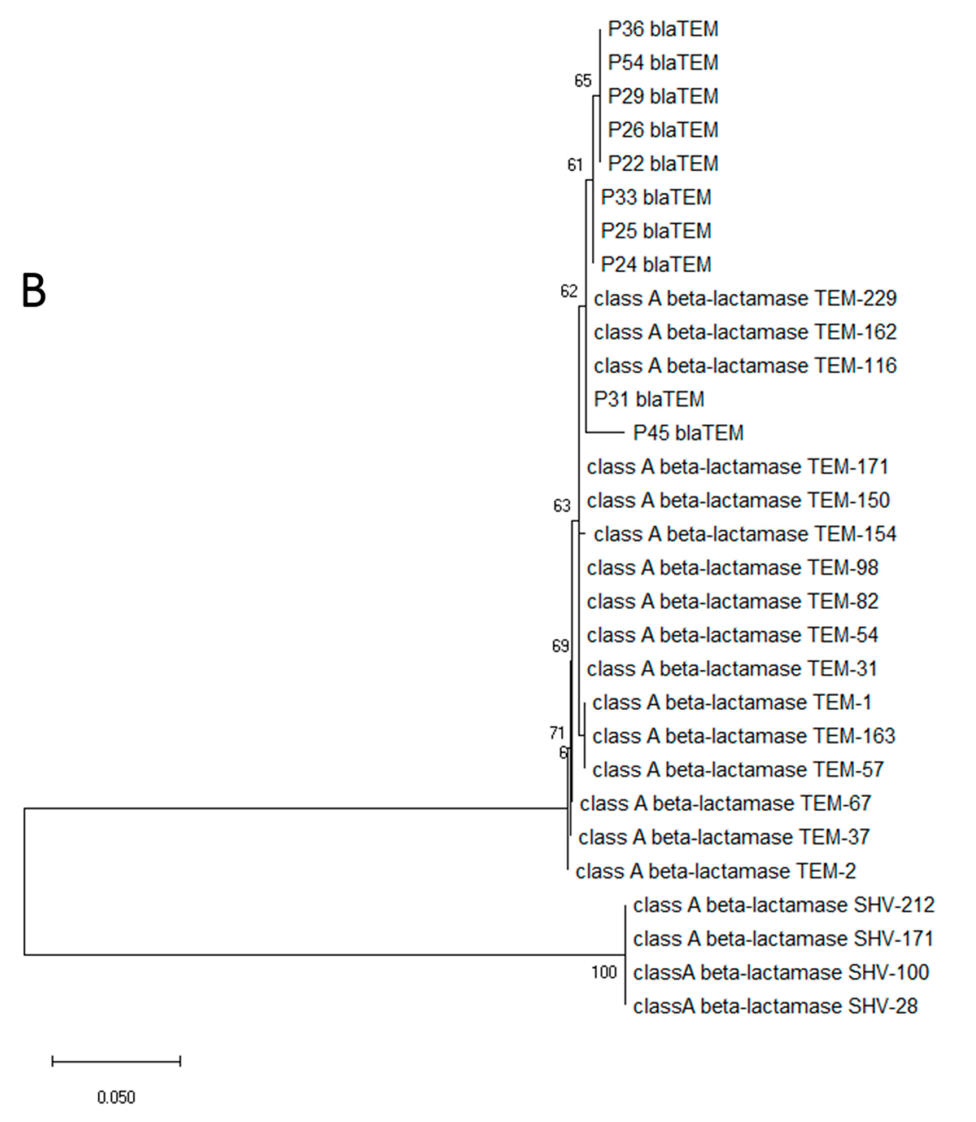 Microorganisms 10 01677 g004b