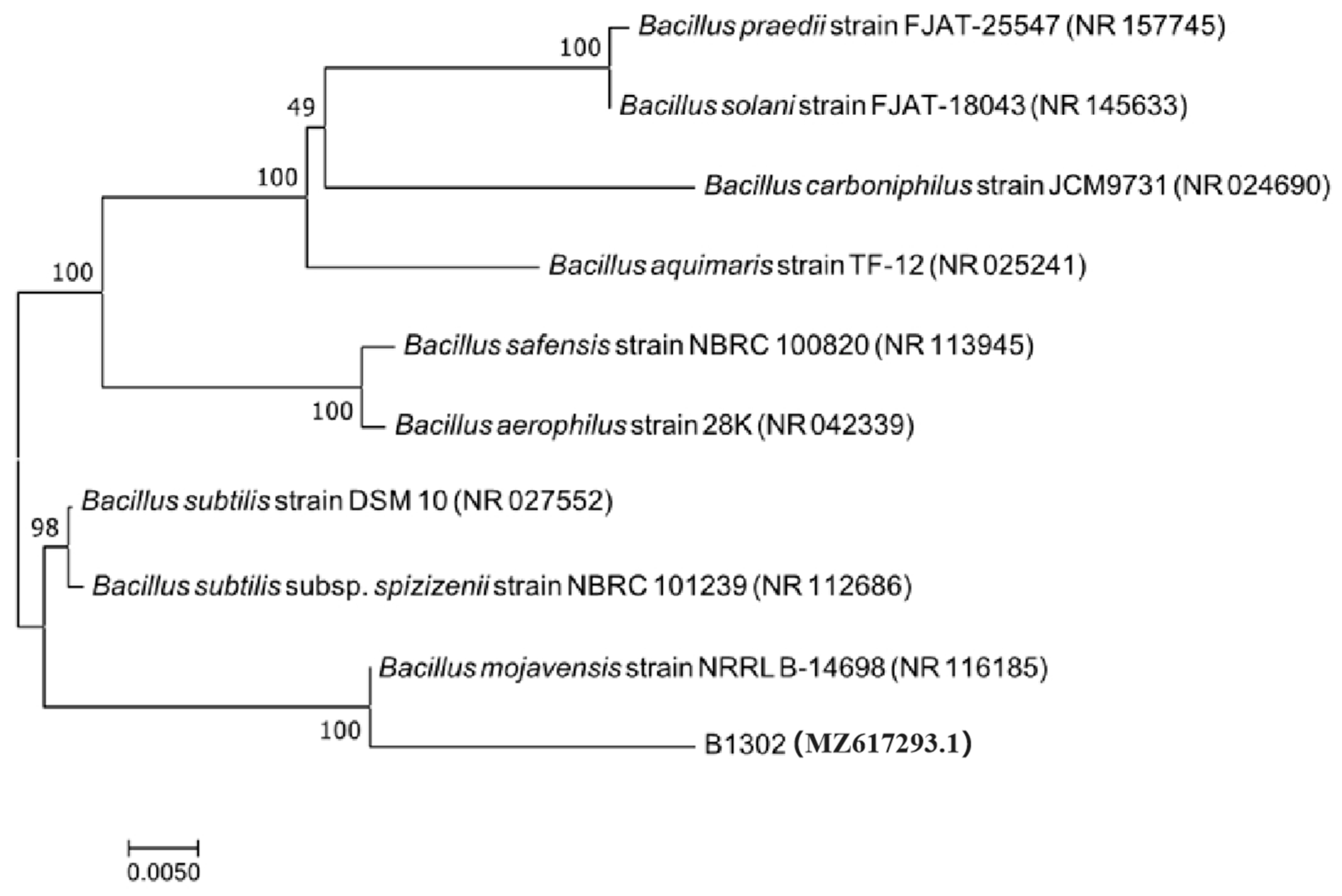 Microorganisms 10 01682 g002 550