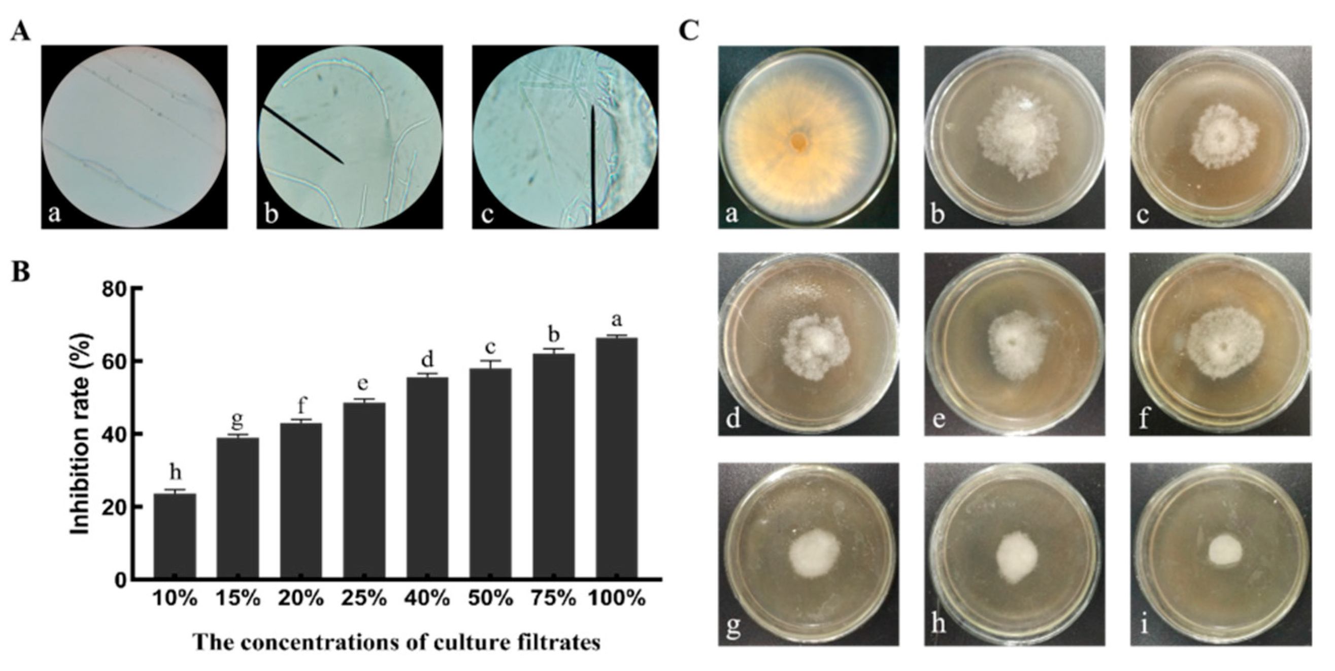 Microorganisms 10 01682 g006 550