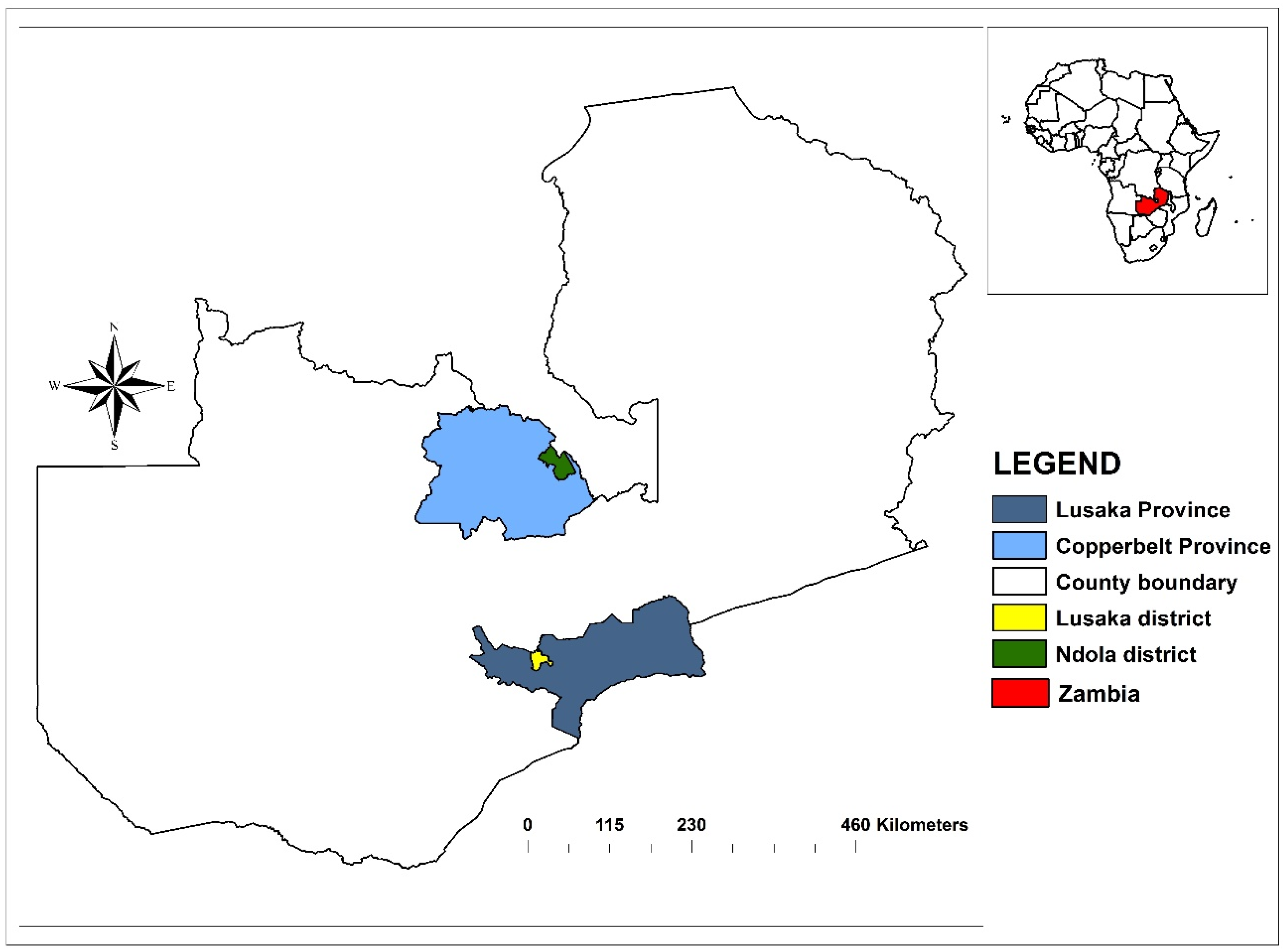 Microorganisms 10 01684 g001