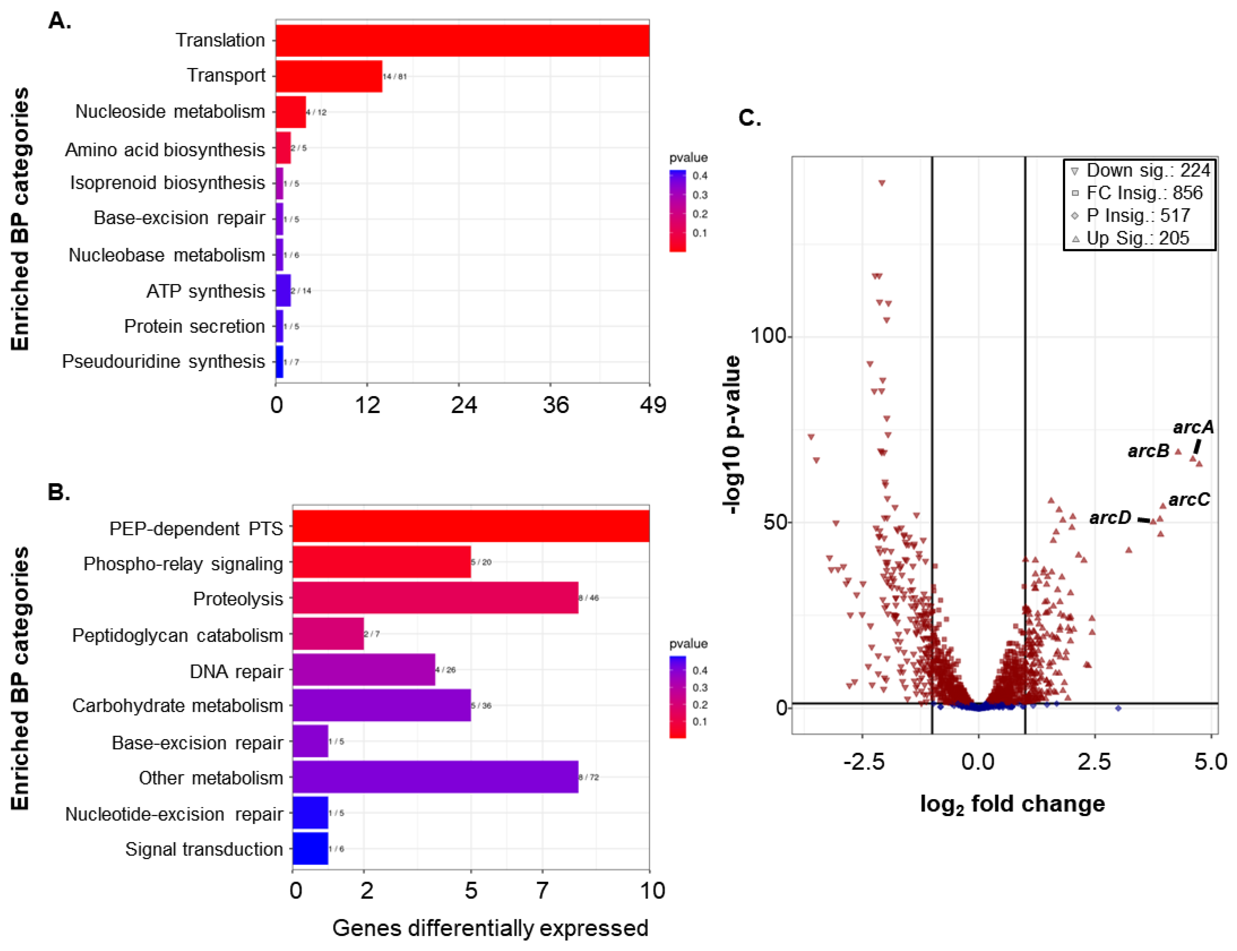 Microorganisms 10 01686 g005