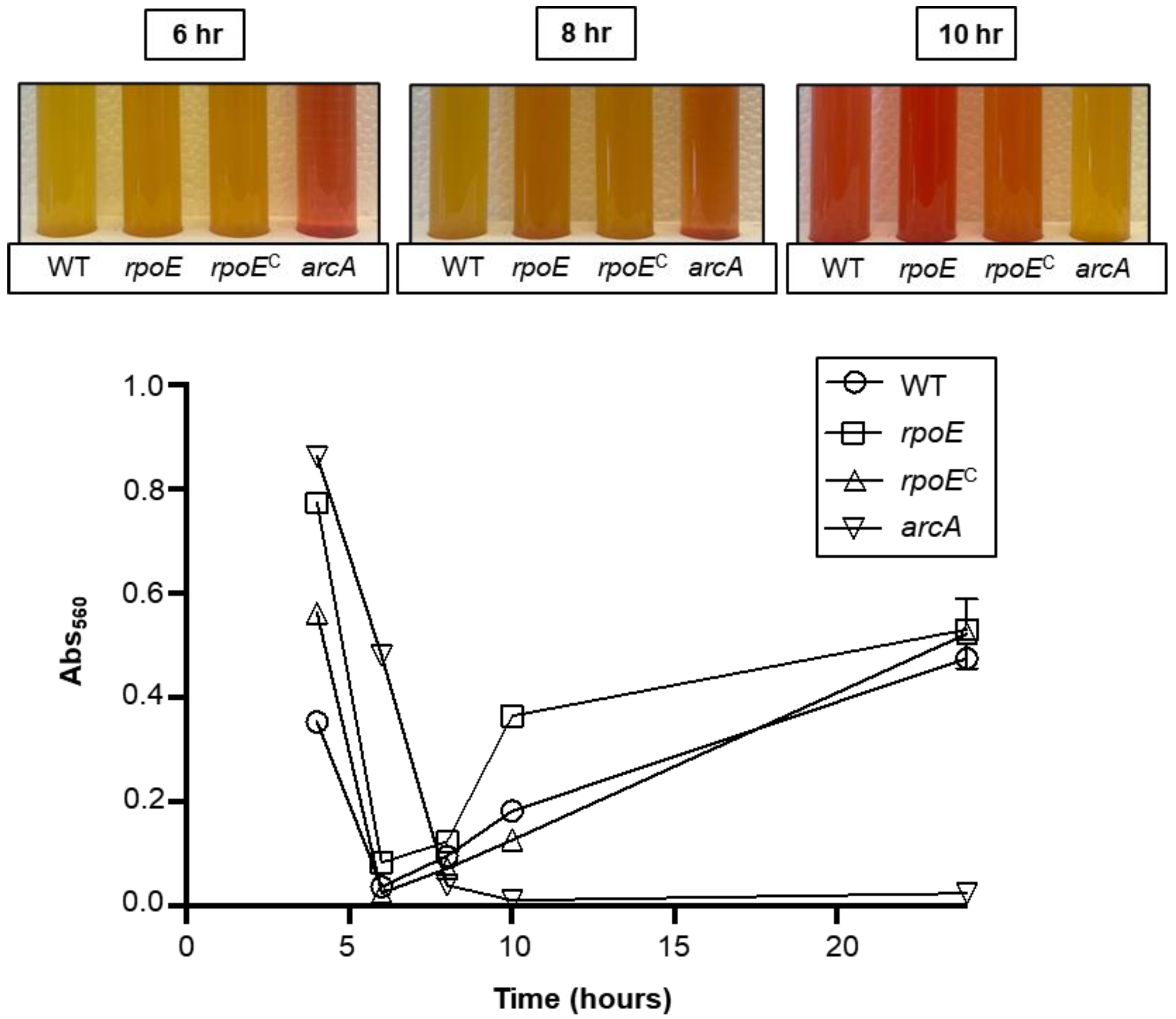 Microorganisms 10 01686 g006
