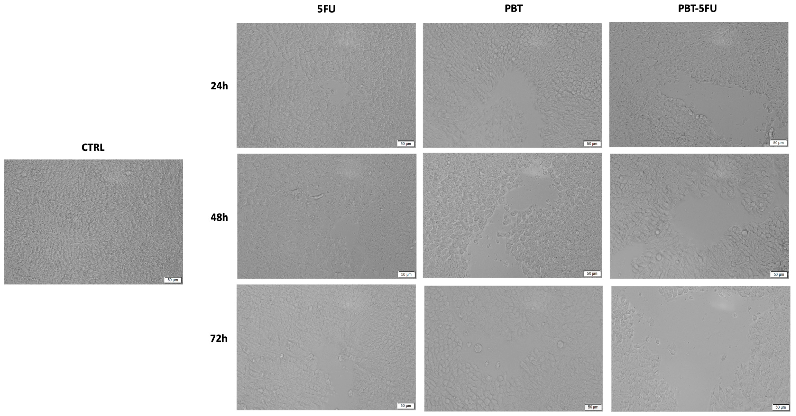 Microorganisms 10 01692 g003