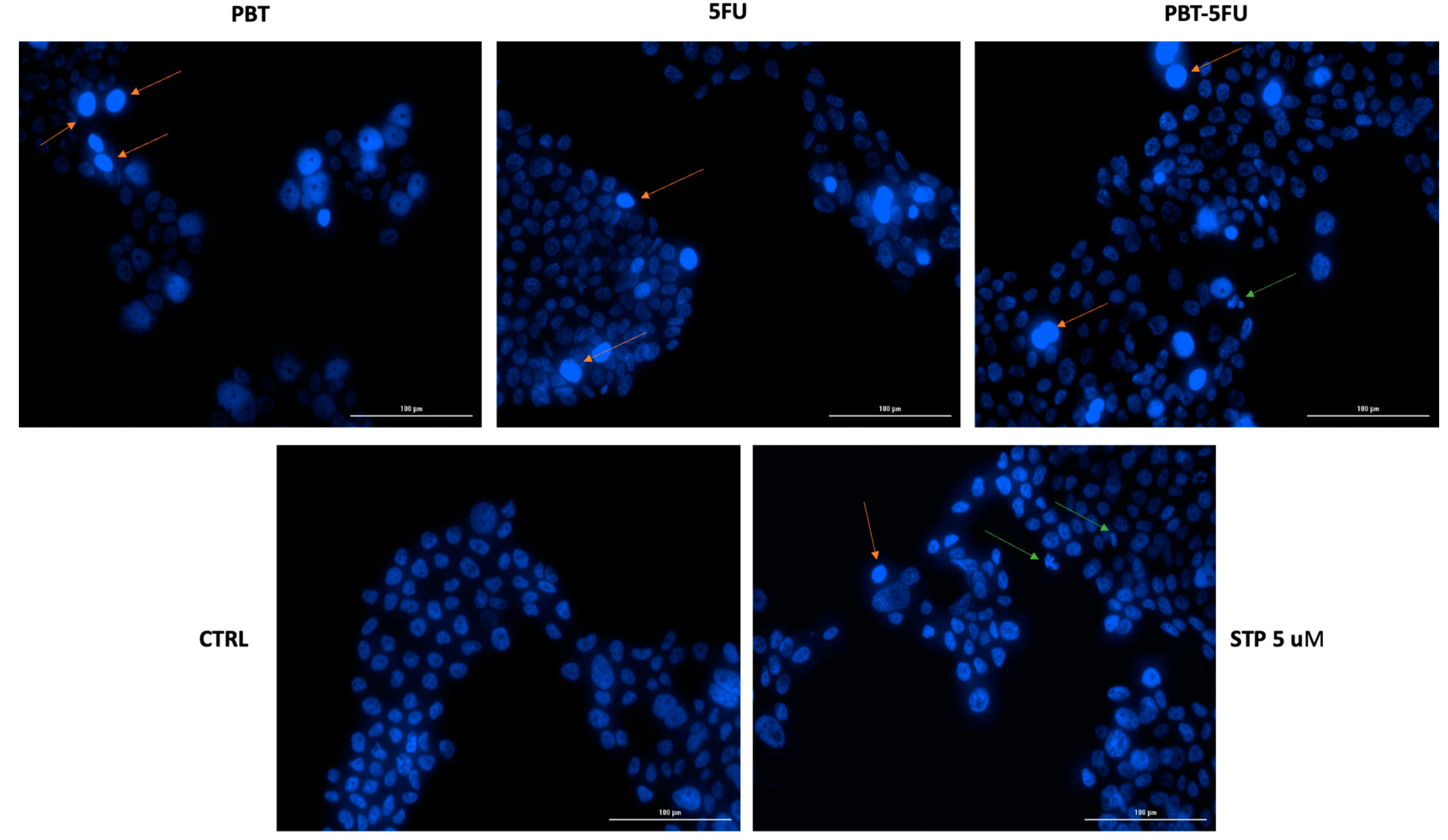 Microorganisms 10 01692 g004