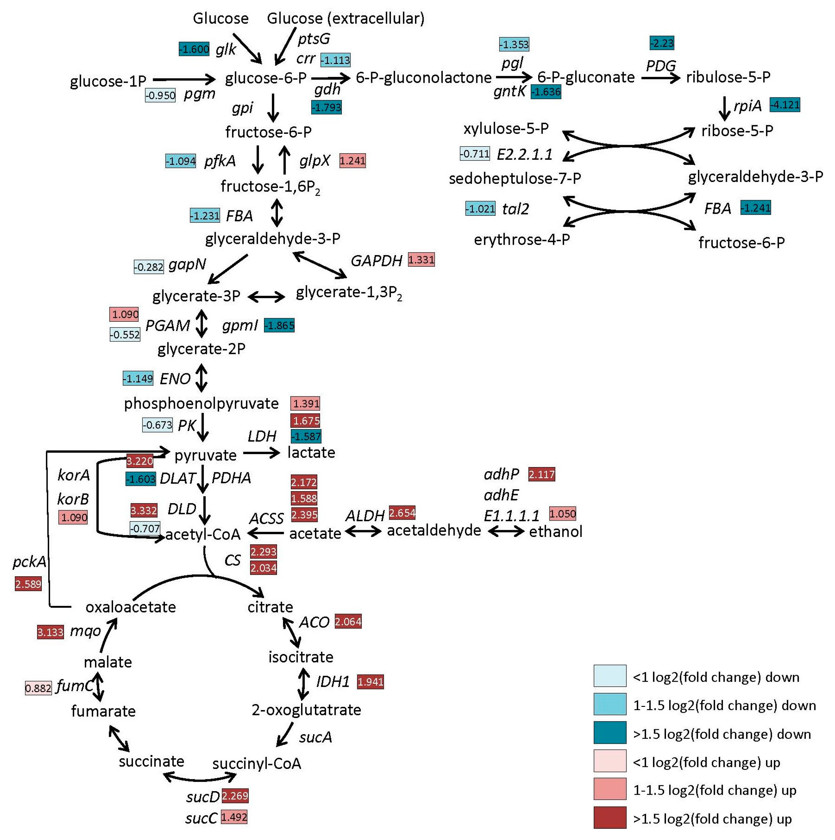 Microorganisms 10 01695 g006