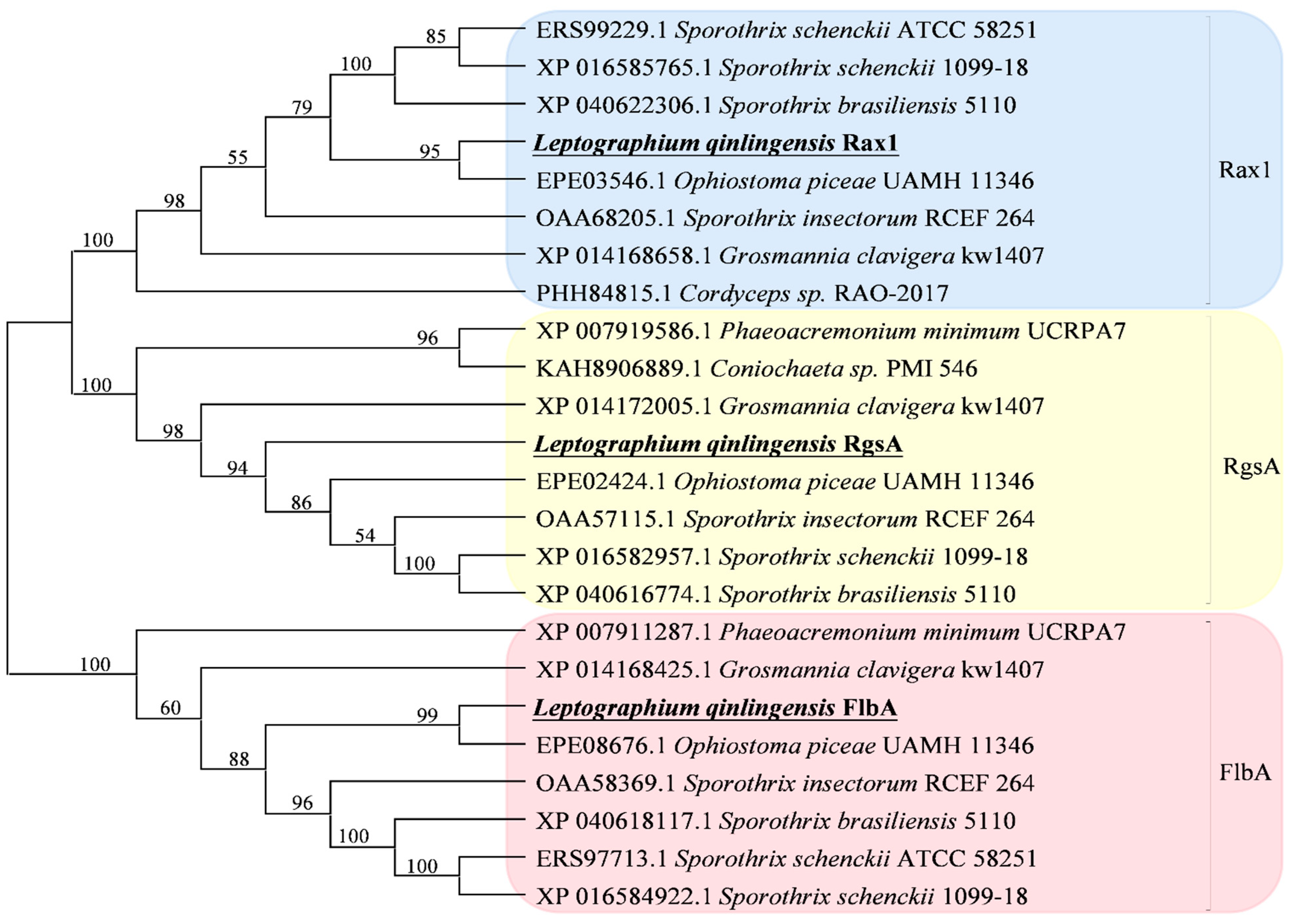 Microorganisms 10 01698 g001