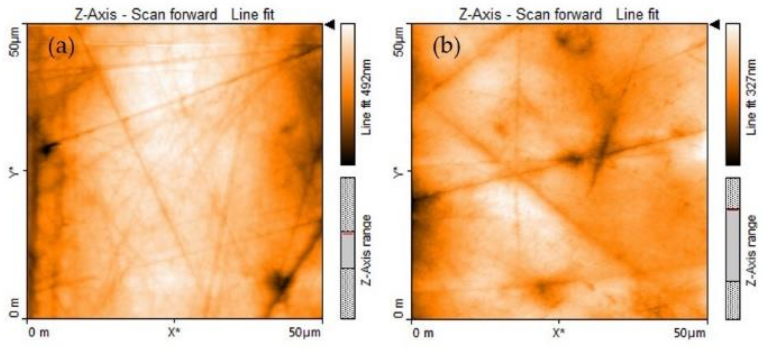 Microorganisms 10 01701 g001