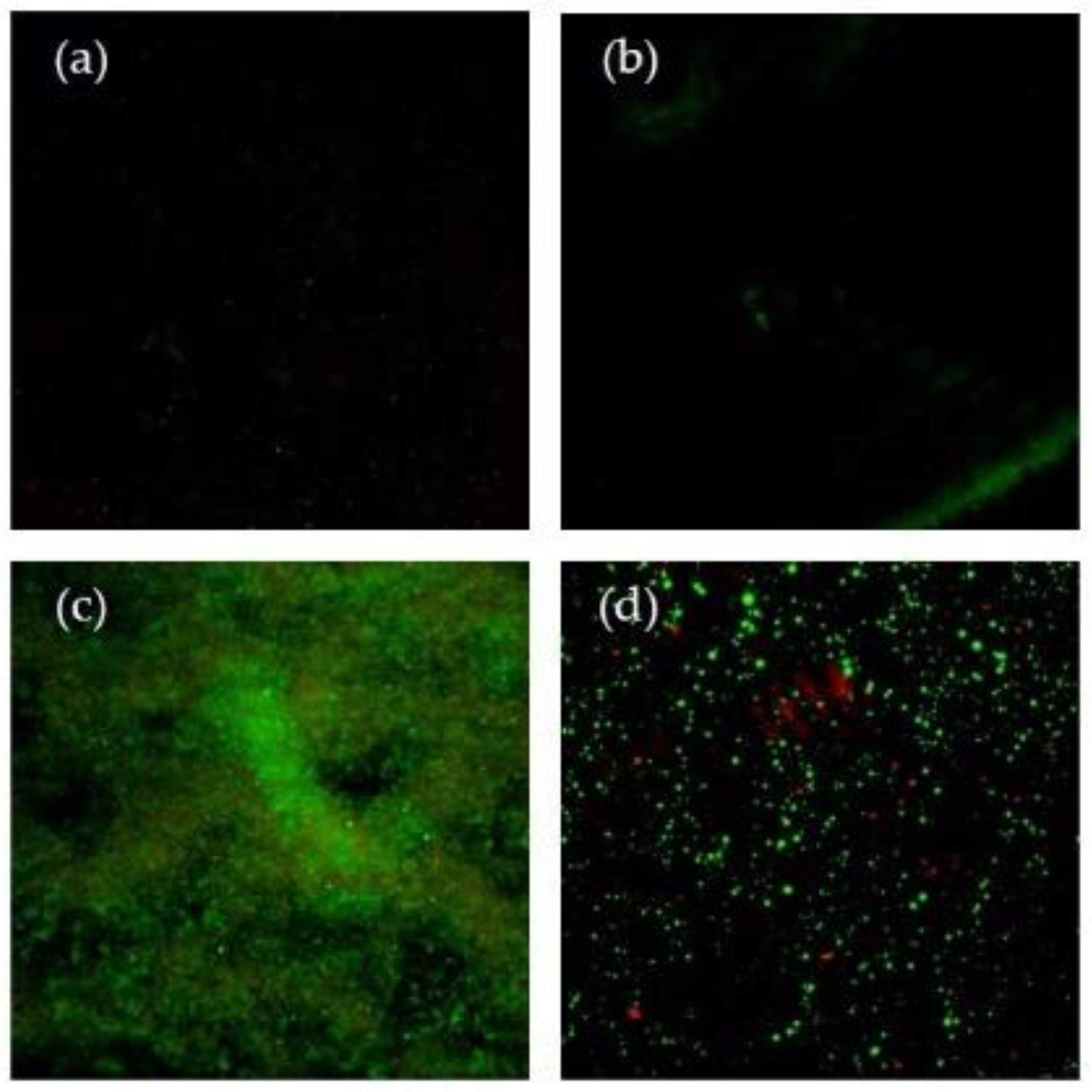 Microorganisms 10 01701 g002