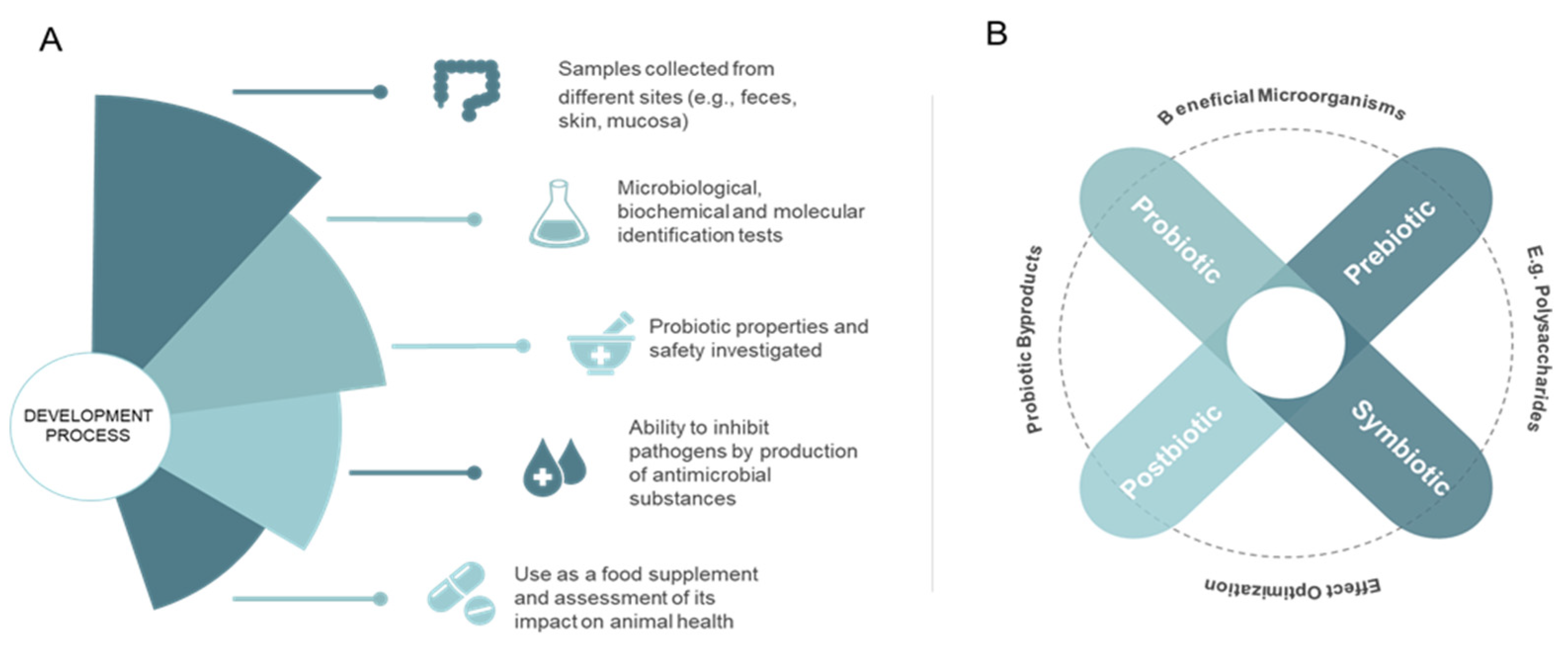 Microorganisms 10 01705 g001