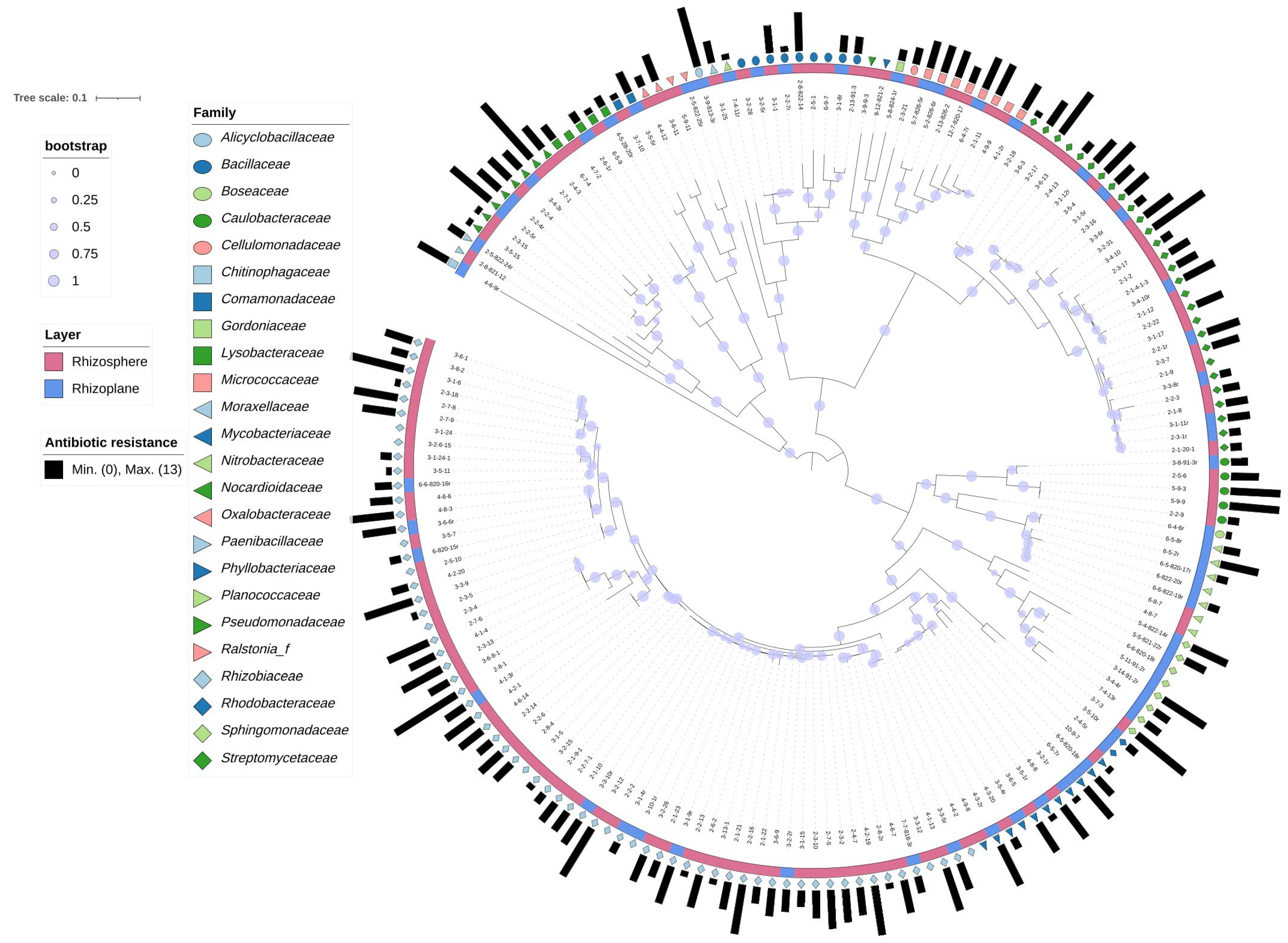 Microorganisms 10 01708 g002 550