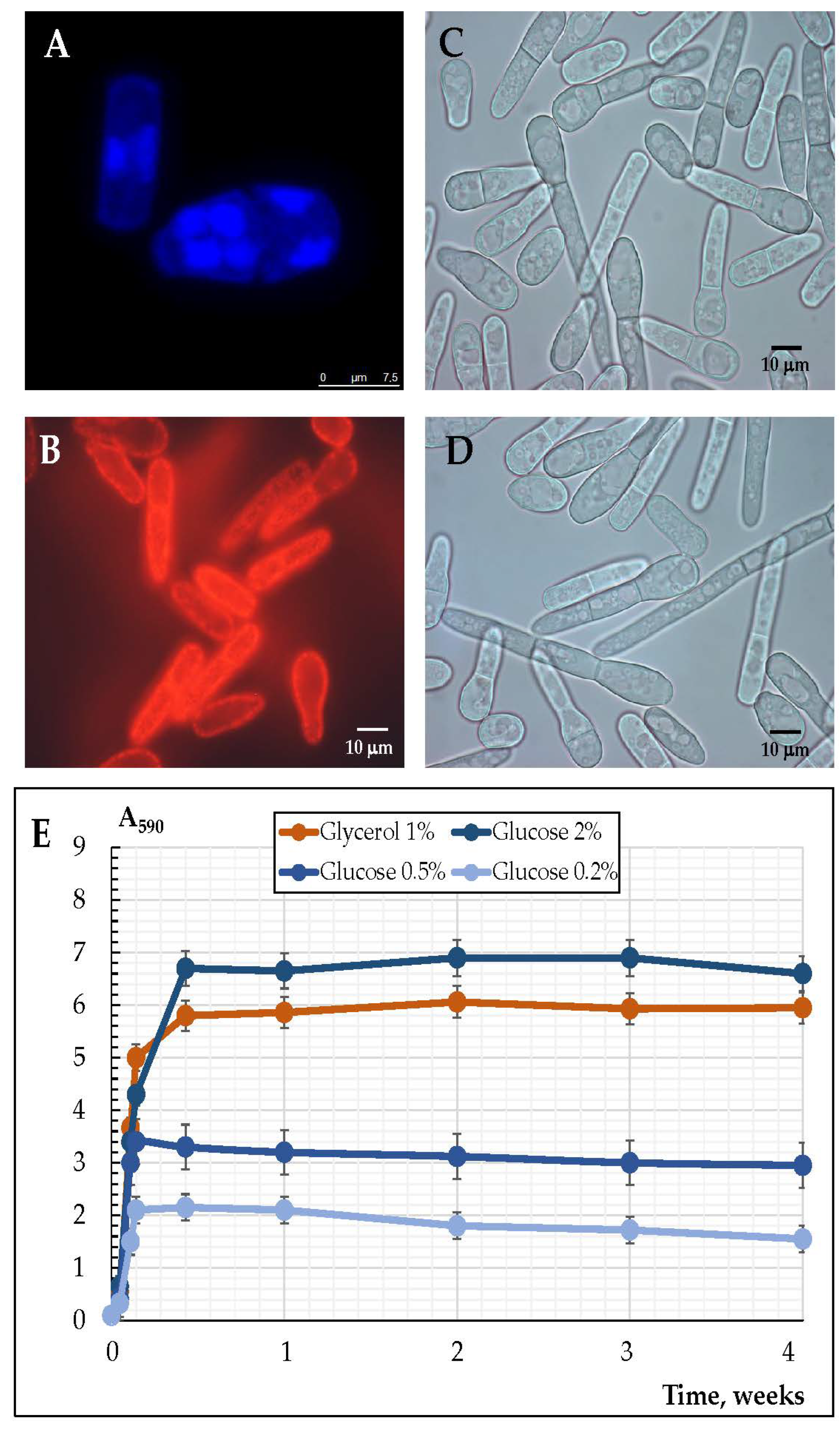 Microorganisms 10 01709 g001 Microorganisms 10 01709 g001