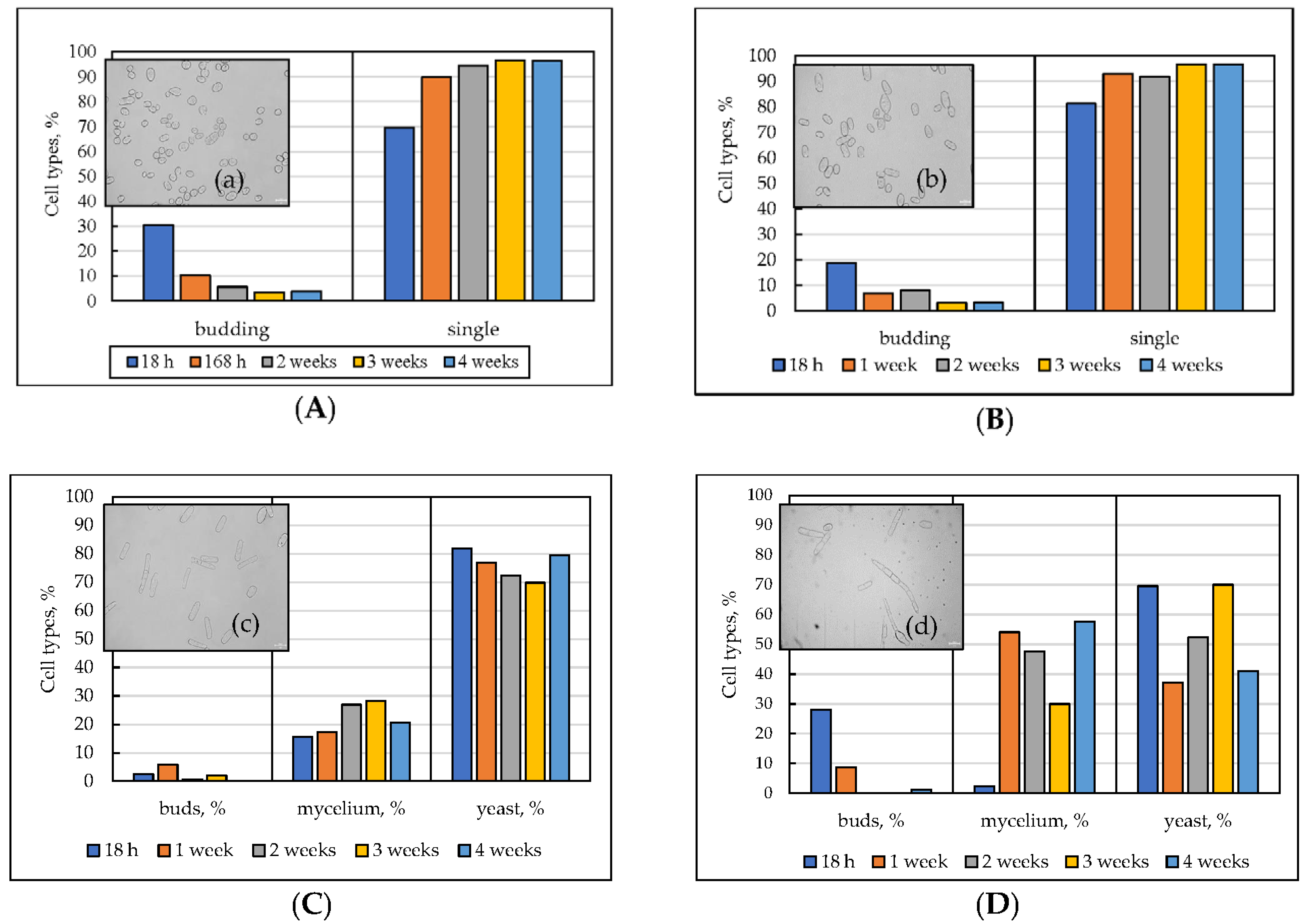 Microorganisms 10 01709 g002a Microorganisms 10 01709 g002a