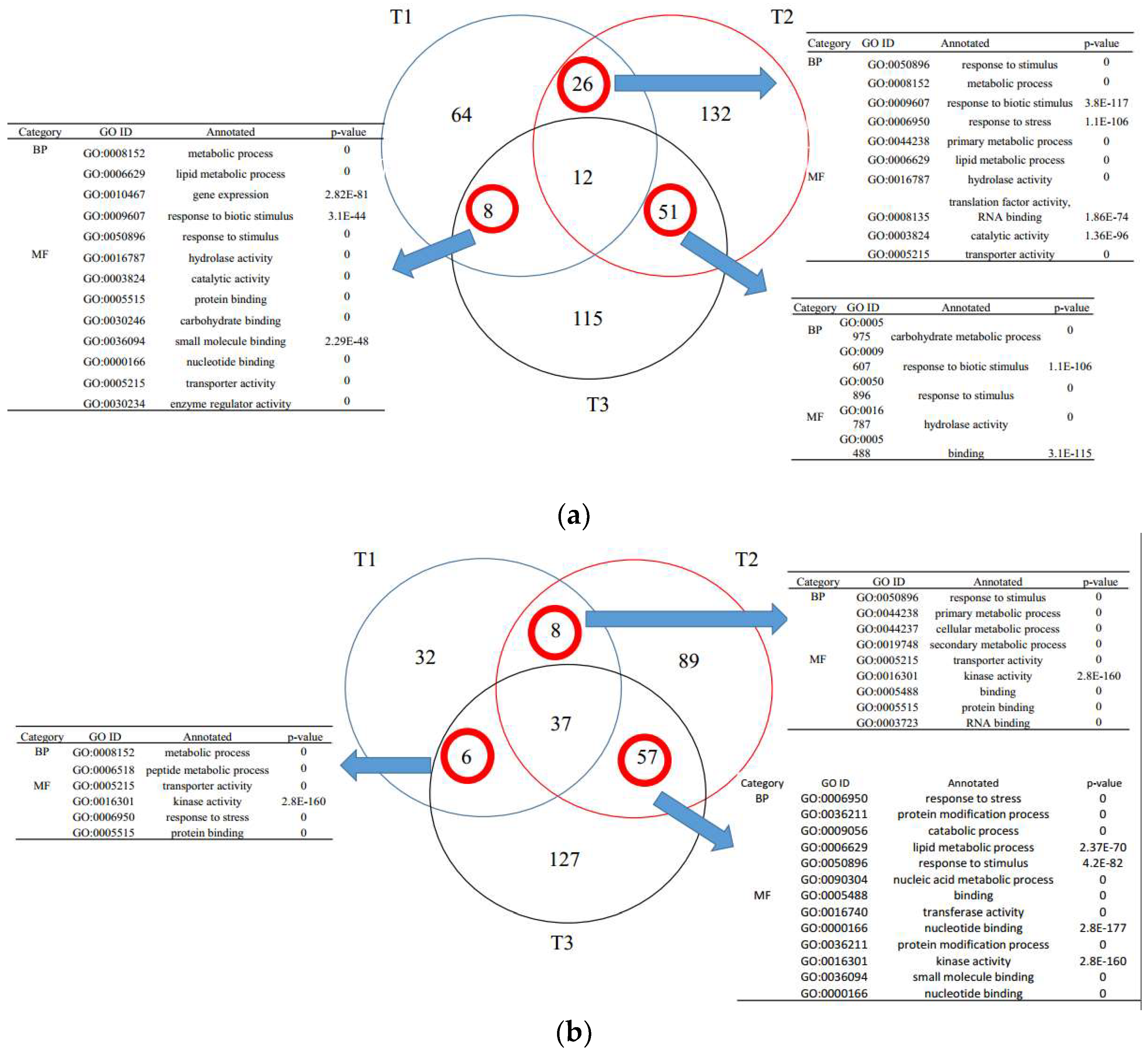 Microorganisms 10 01710 g001 550